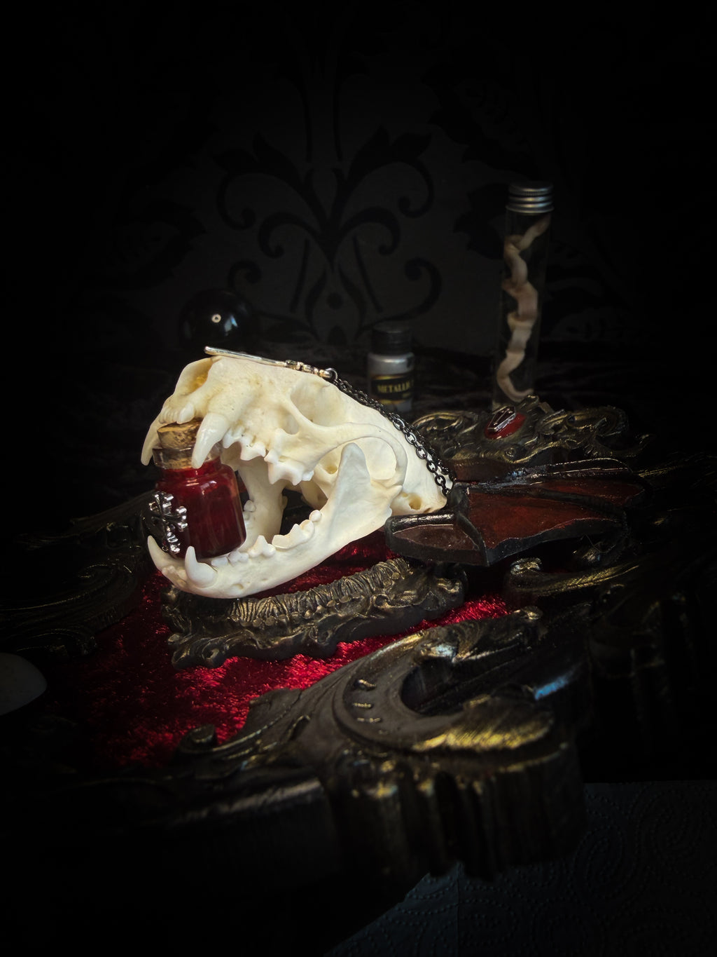 Handmade gothic wall decor with real mink skull, hand-cast bat wings, red velvet and gold frame — Malachar by Morbid Oddities