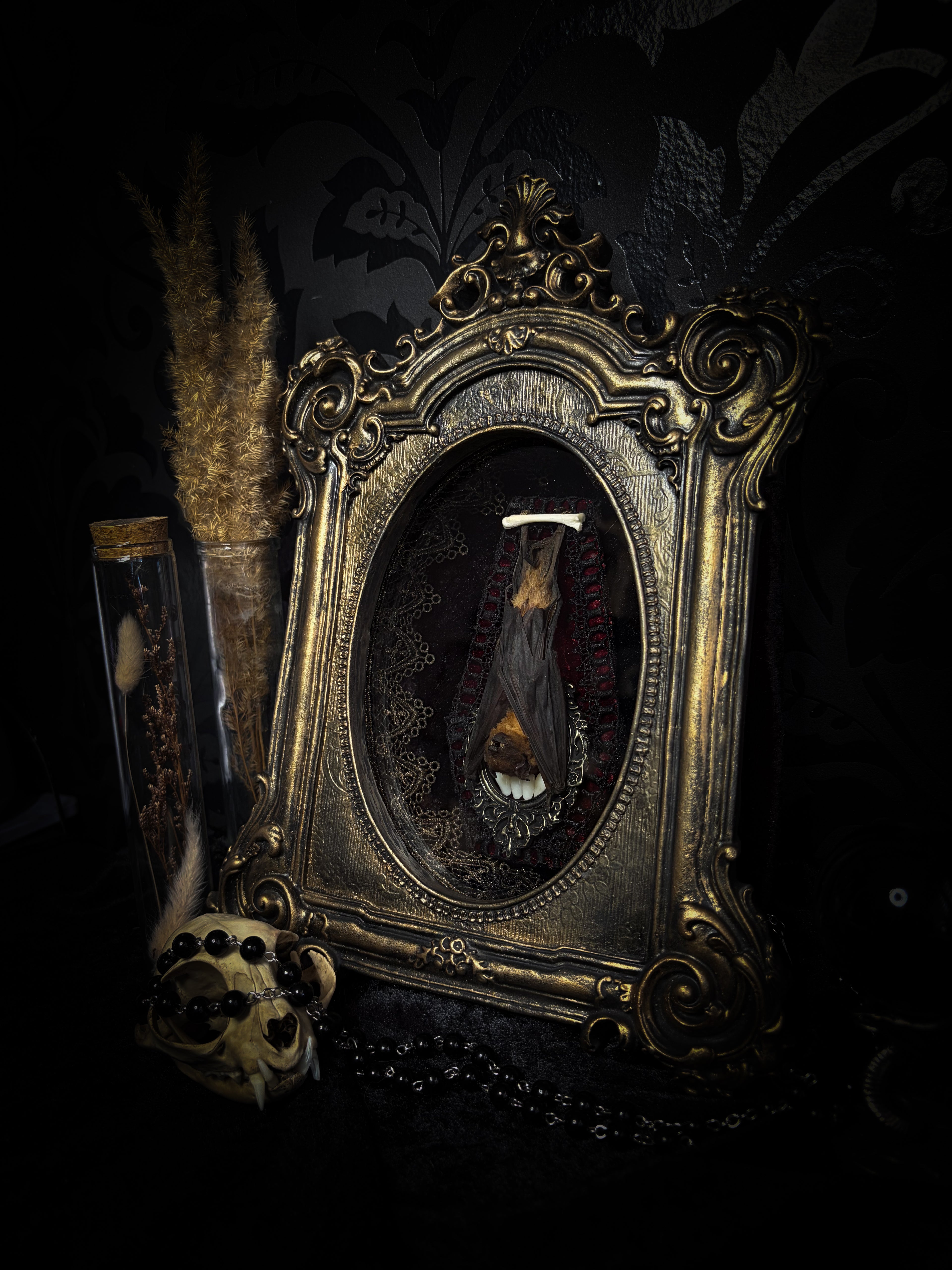 Noctis Reliquary — handmade gothic bat shadowbox, preserved bat specimen, baroque frame, aged gold finish, red velvet, one of a kind, Morbid Oddities
