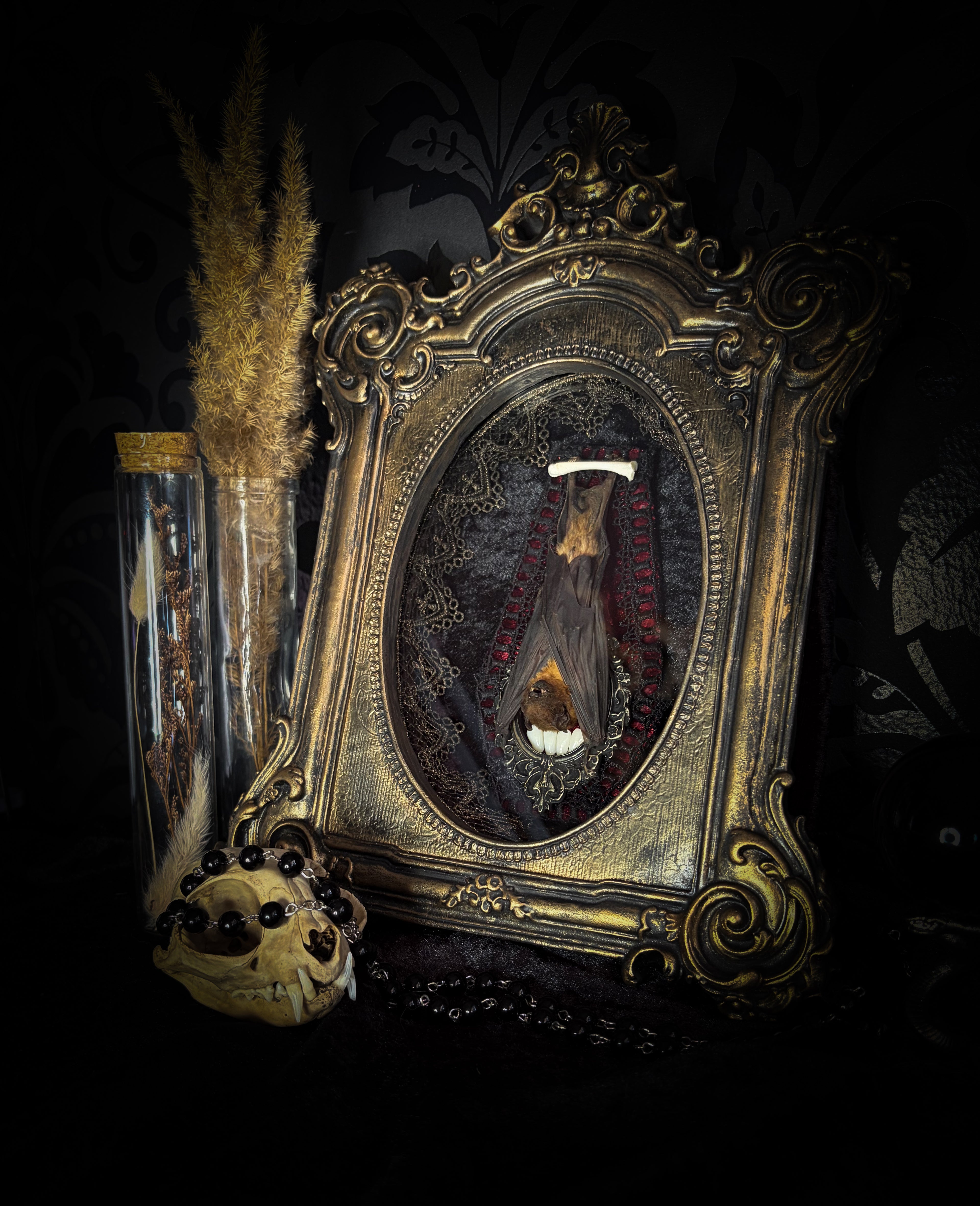 Noctis Reliquary — handmade gothic bat shadowbox, preserved bat specimen, baroque frame, aged gold finish, red velvet, one of a kind, Morbid Oddities
