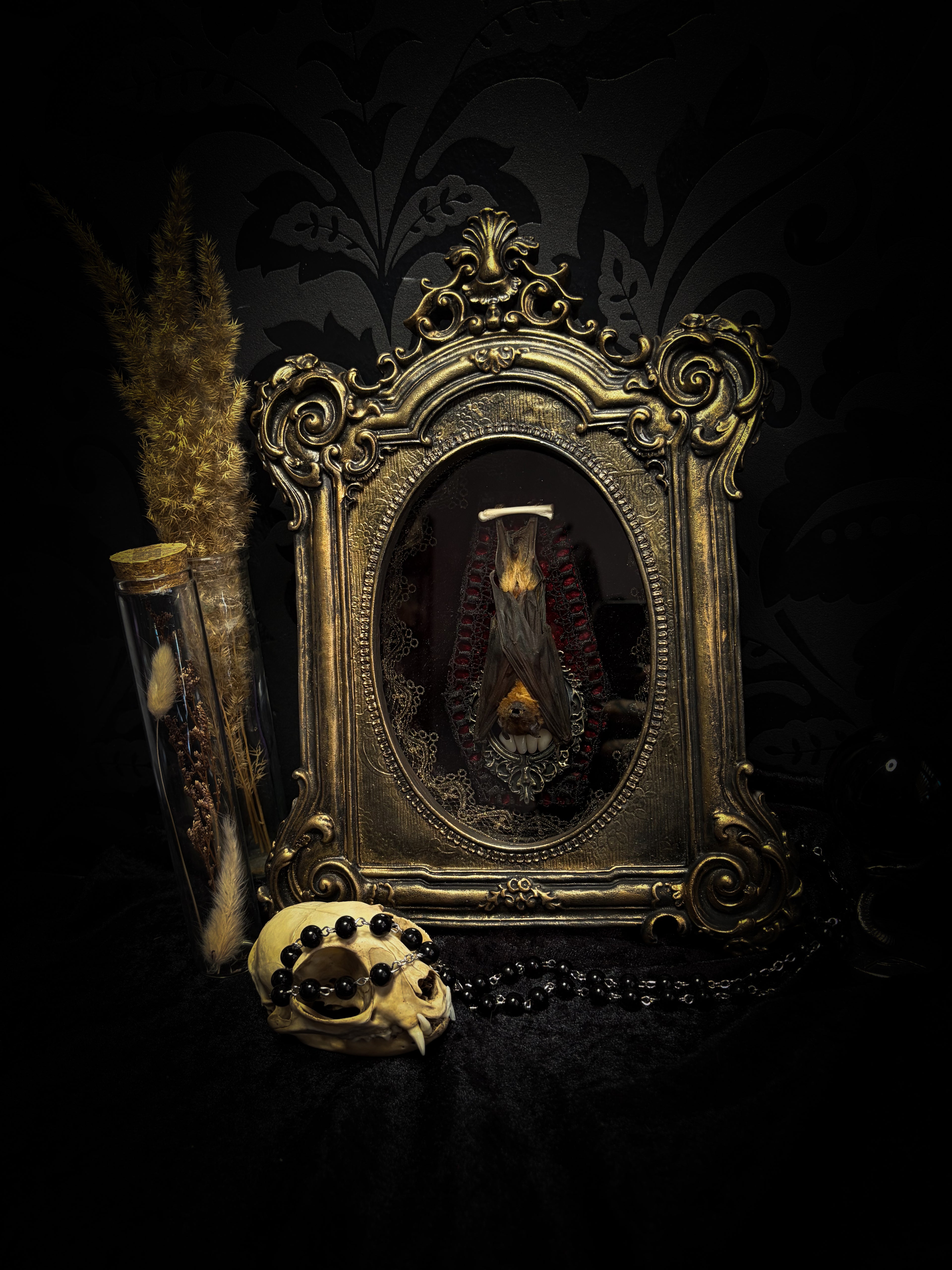 Noctis Reliquary — handmade gothic bat shadowbox, preserved bat specimen, baroque frame, aged gold finish, red velvet, one of a kind, Morbid Oddities
