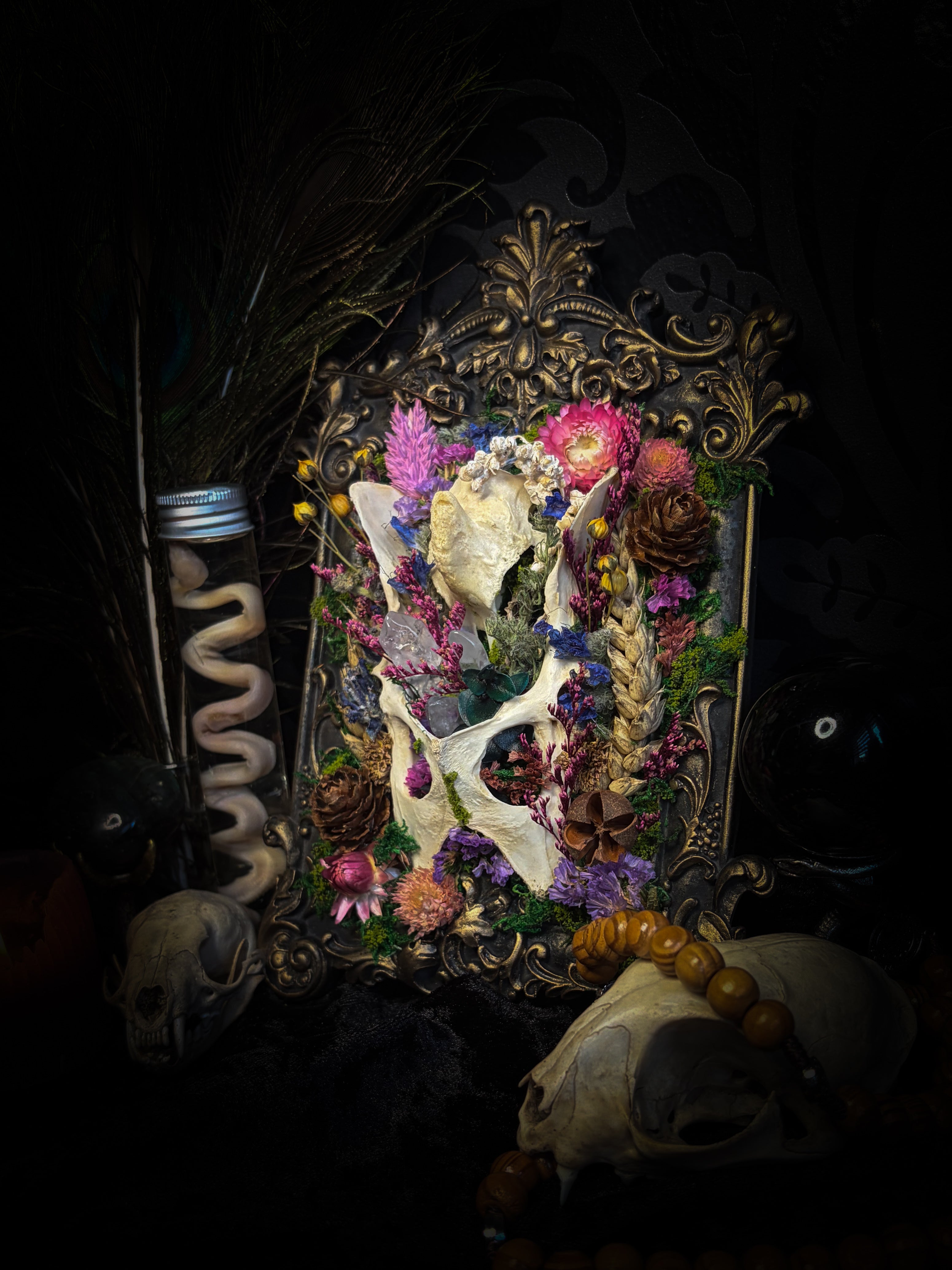 Flora Mortis | Whimsical — rabbit pelvis and guinea fowl skull fragment with dried flowers, quartz crystals, moss and pinecones in hand-cast antique gold baroque frame, Morbid Oddities

