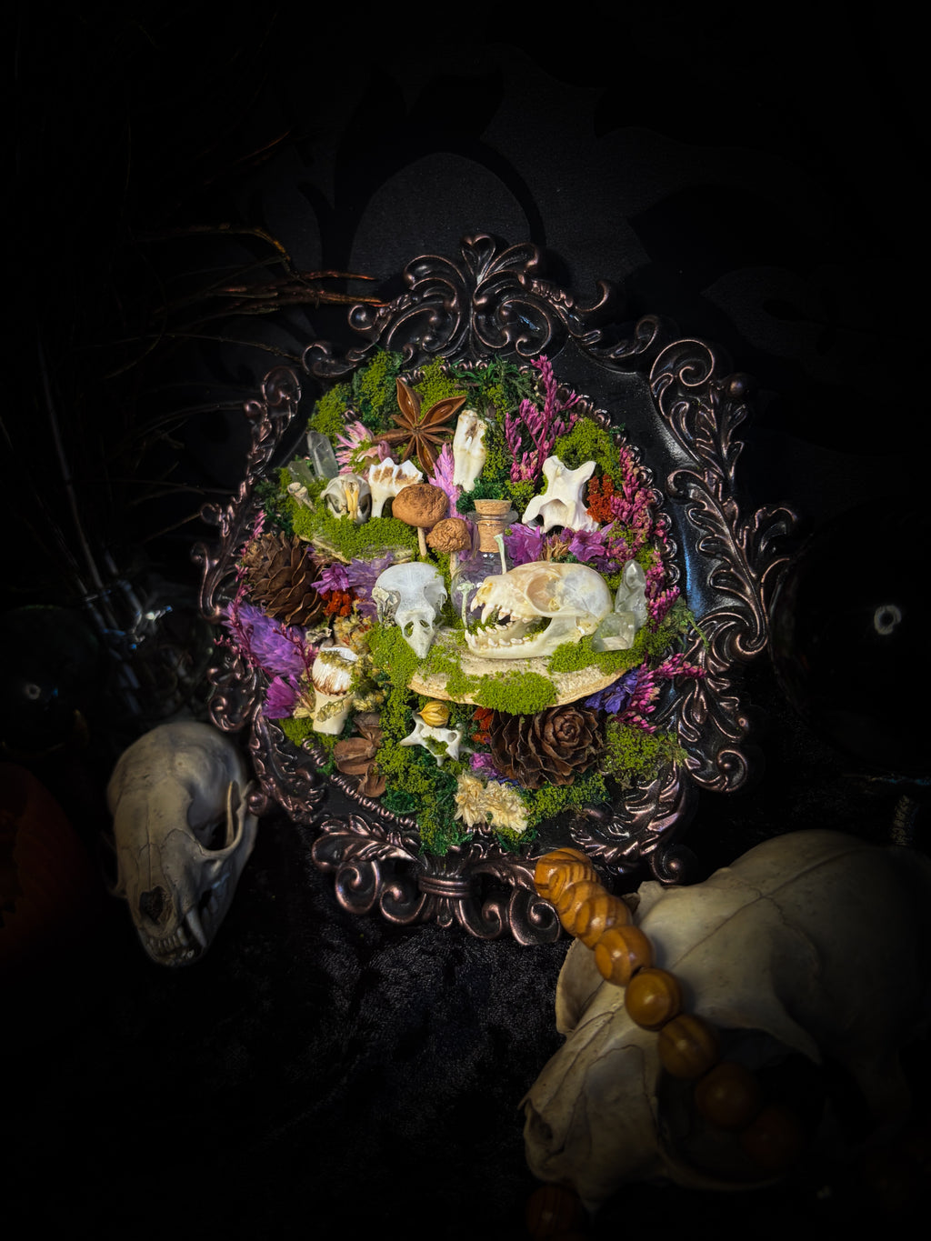 Anima Noctis | Whimsical — bat, mouse and bird skulls, deer and small mammal vertebrae, amethyst bottle, quartz crystals, mushrooms, moss and dried flowers in hand-cast metallic violet baroque frame, Morbid Oddities

