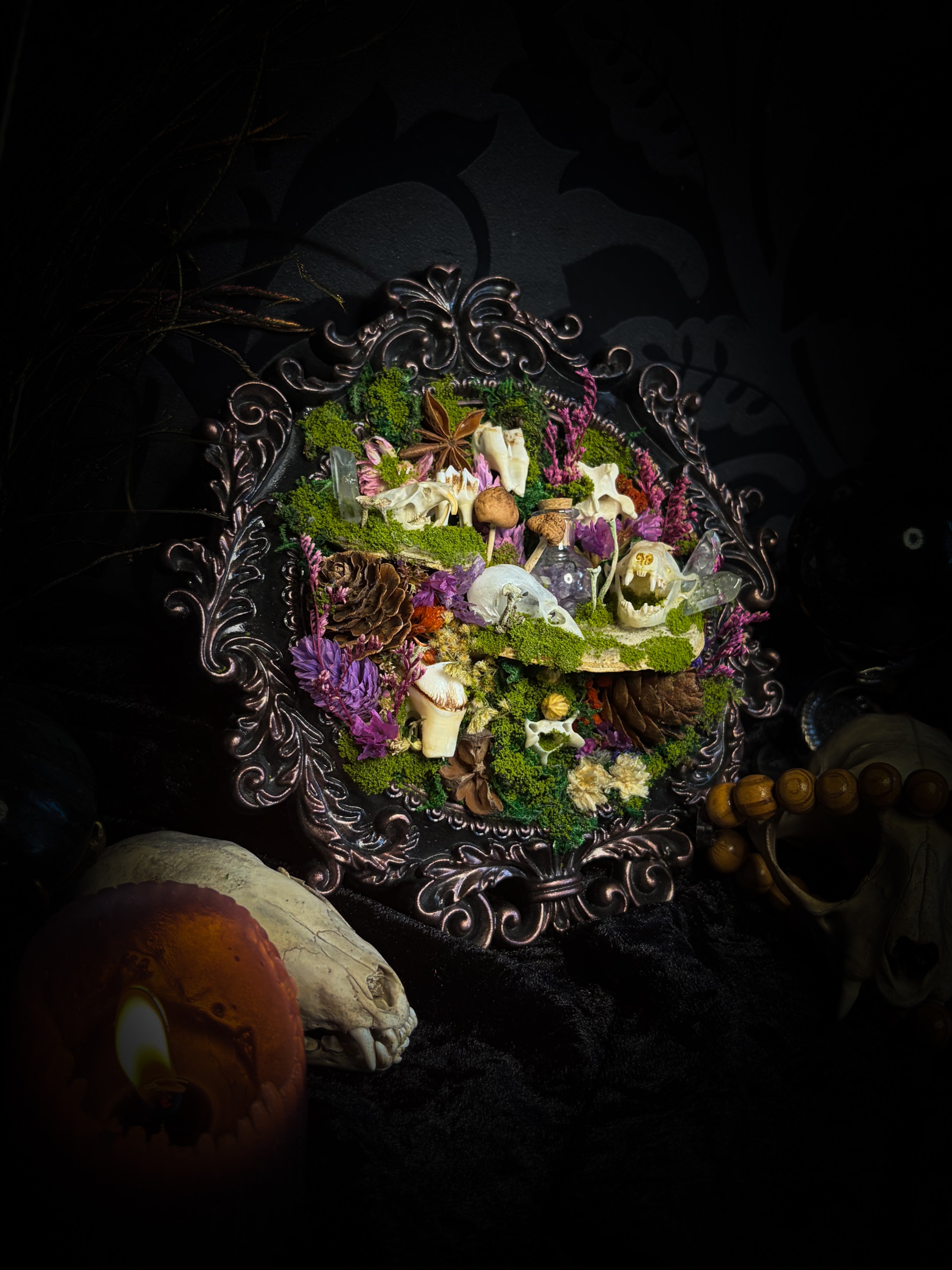 Anima Noctis | Whimsical — bat, mouse and bird skulls, deer and small mammal vertebrae, amethyst bottle, quartz crystals, mushrooms, moss and dried flowers in hand-cast metallic violet baroque frame, Morbid Oddities


