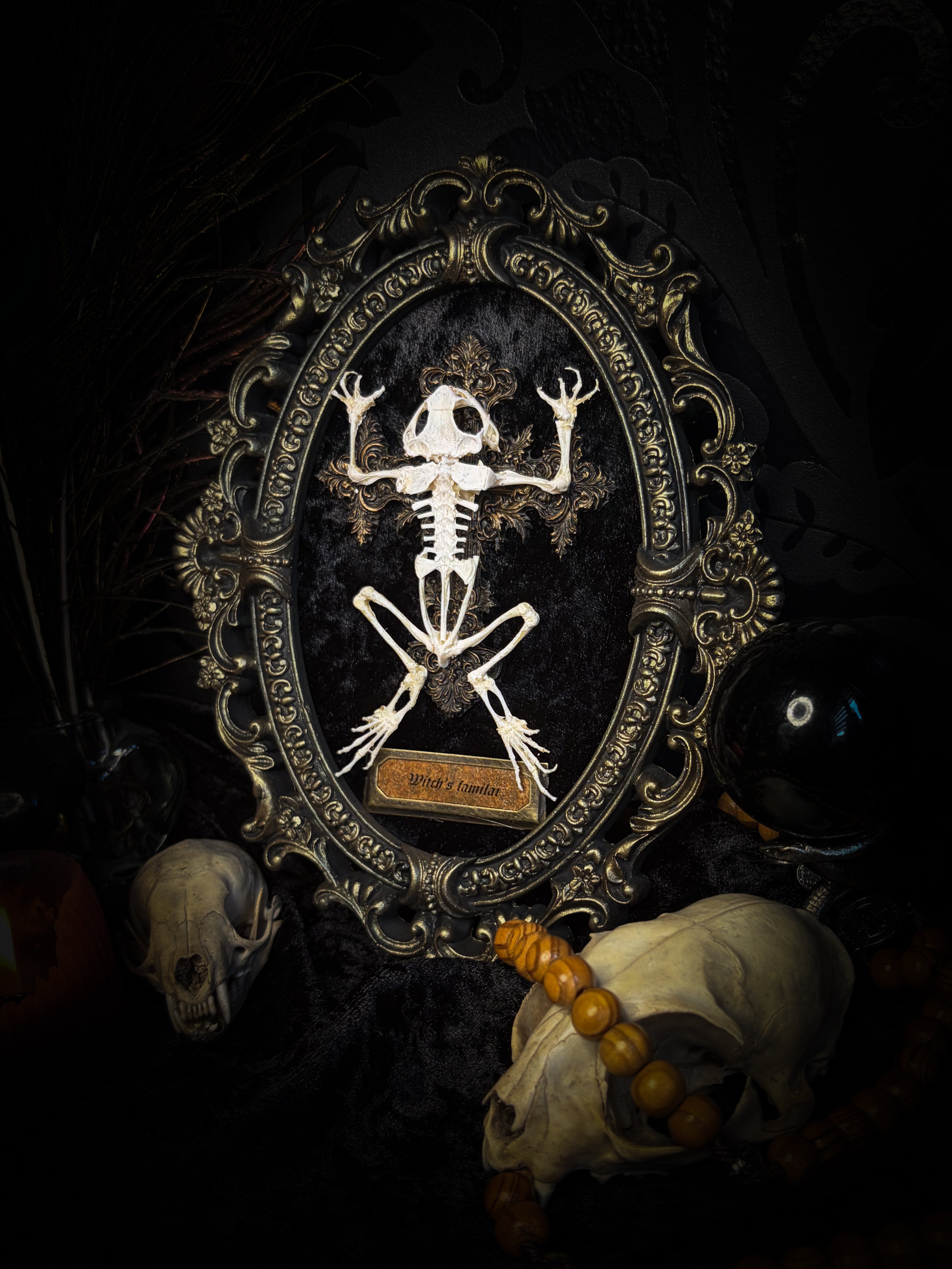 Witch's Familiar | Gothic — real preserved toad skeleton in hand-cast antique gold baroque oval frame on black crushed velvet, hand-painted cross and antiqued plaque, Morbid Oddities

