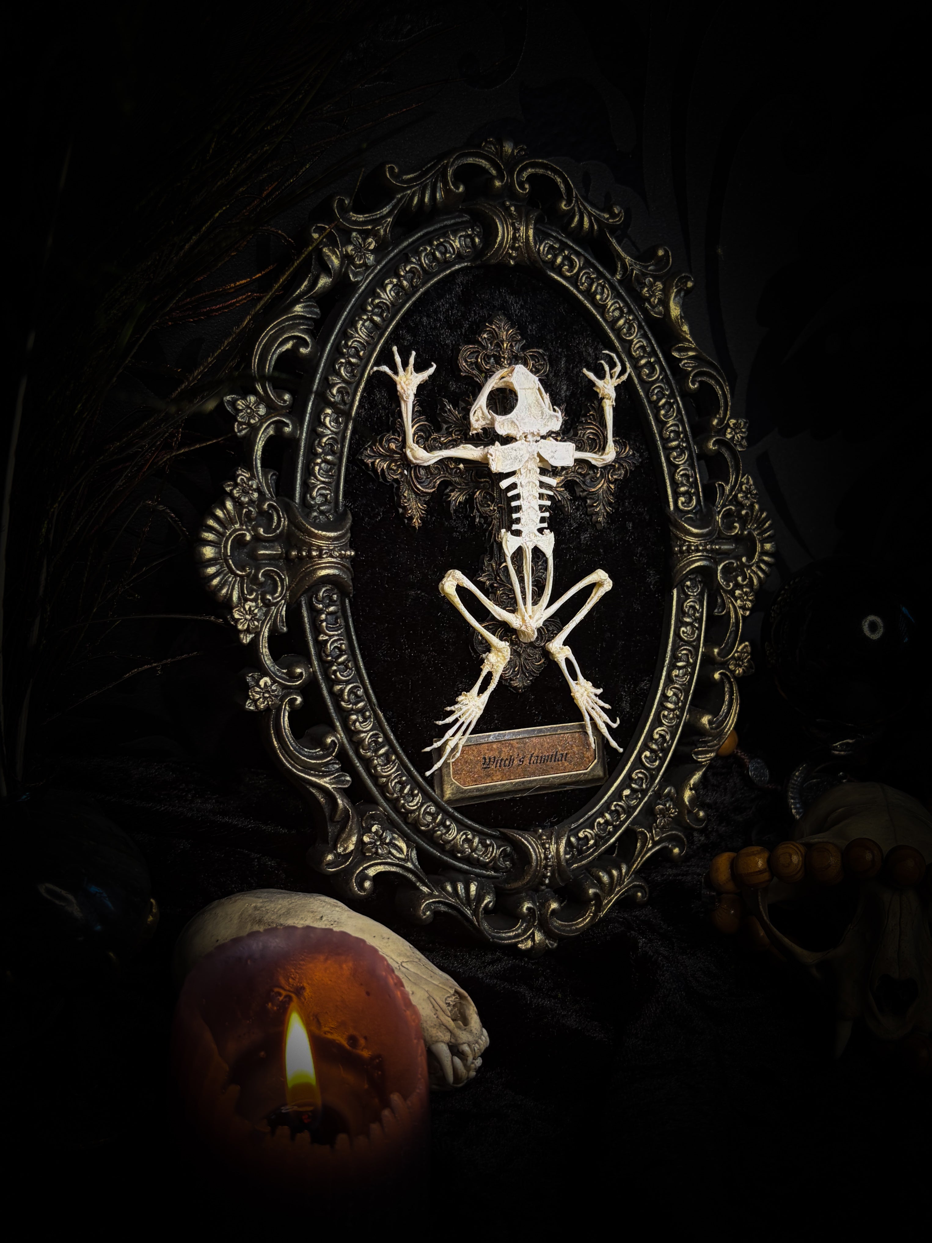 Witch's Familiar | Gothic — real preserved toad skeleton in hand-cast antique gold baroque oval frame on black crushed velvet, hand-painted cross and antiqued plaque, Morbid Oddities

