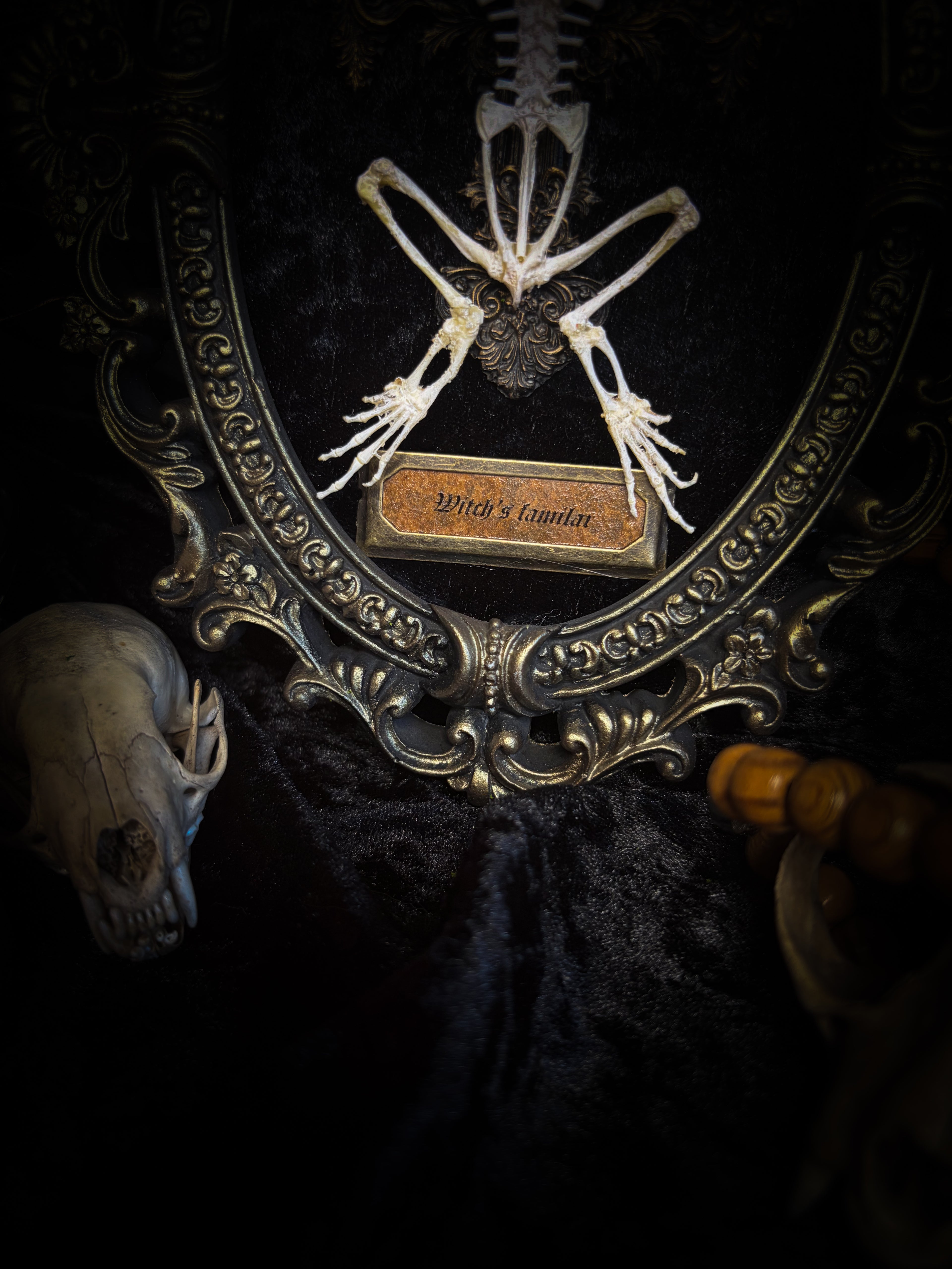 Witch's Familiar | Gothic — real preserved toad skeleton in hand-cast antique gold baroque oval frame on black crushed velvet, hand-painted cross and antiqued plaque, Morbid Oddities

