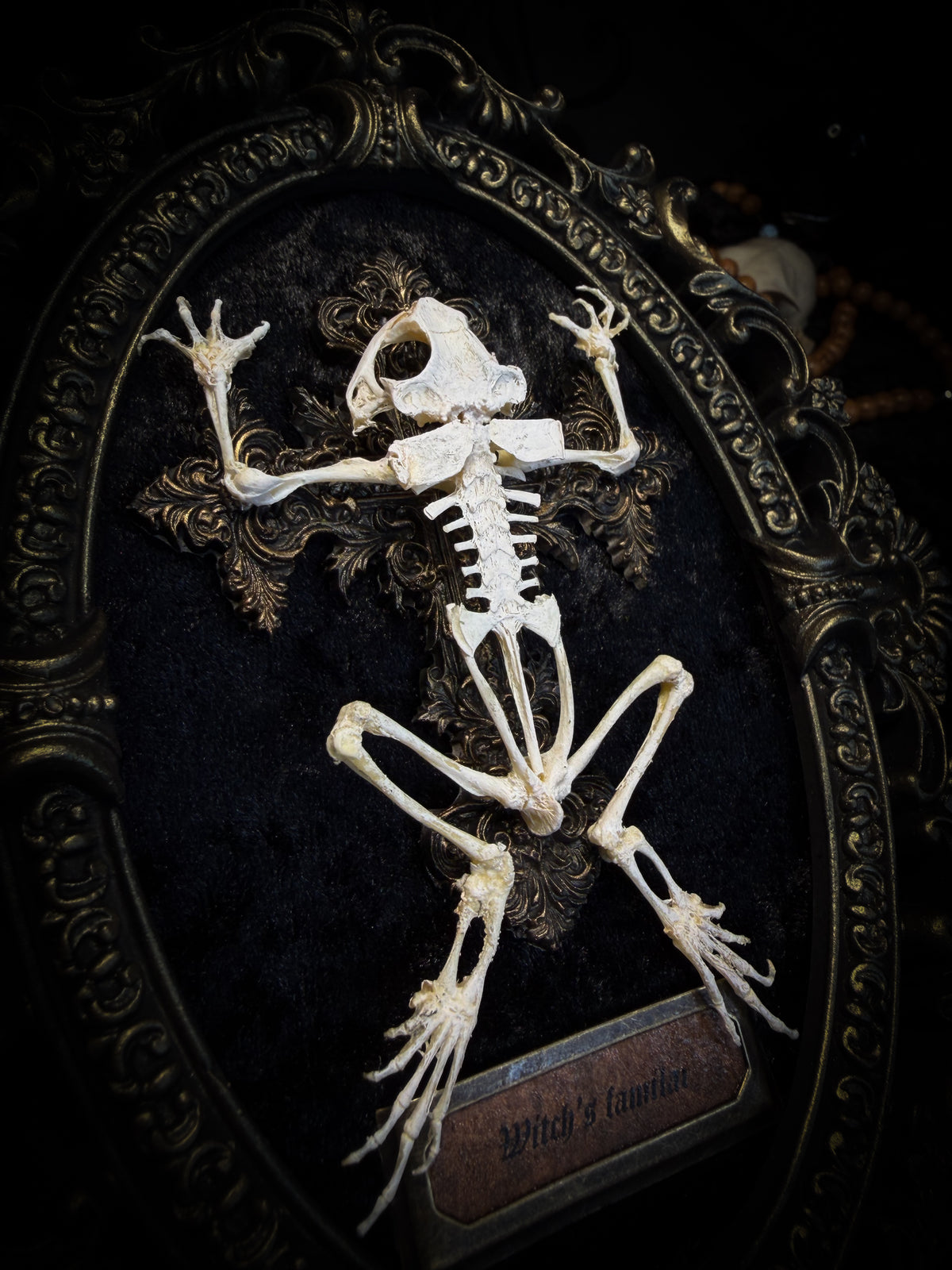 Witch's Familiar | Gothic — real preserved toad skeleton in hand-cast antique gold baroque oval frame on black crushed velvet, hand-painted cross and antiqued plaque, Morbid Oddities

