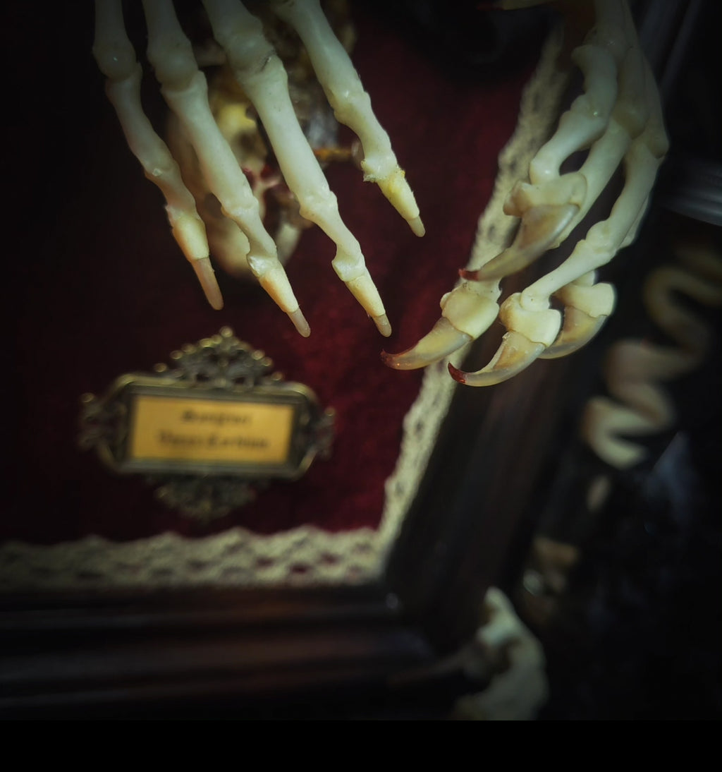 Devourer Hand Handmade Gothic Wall Art — Cat Skull Vampire Frame with Mummified Heart ...
