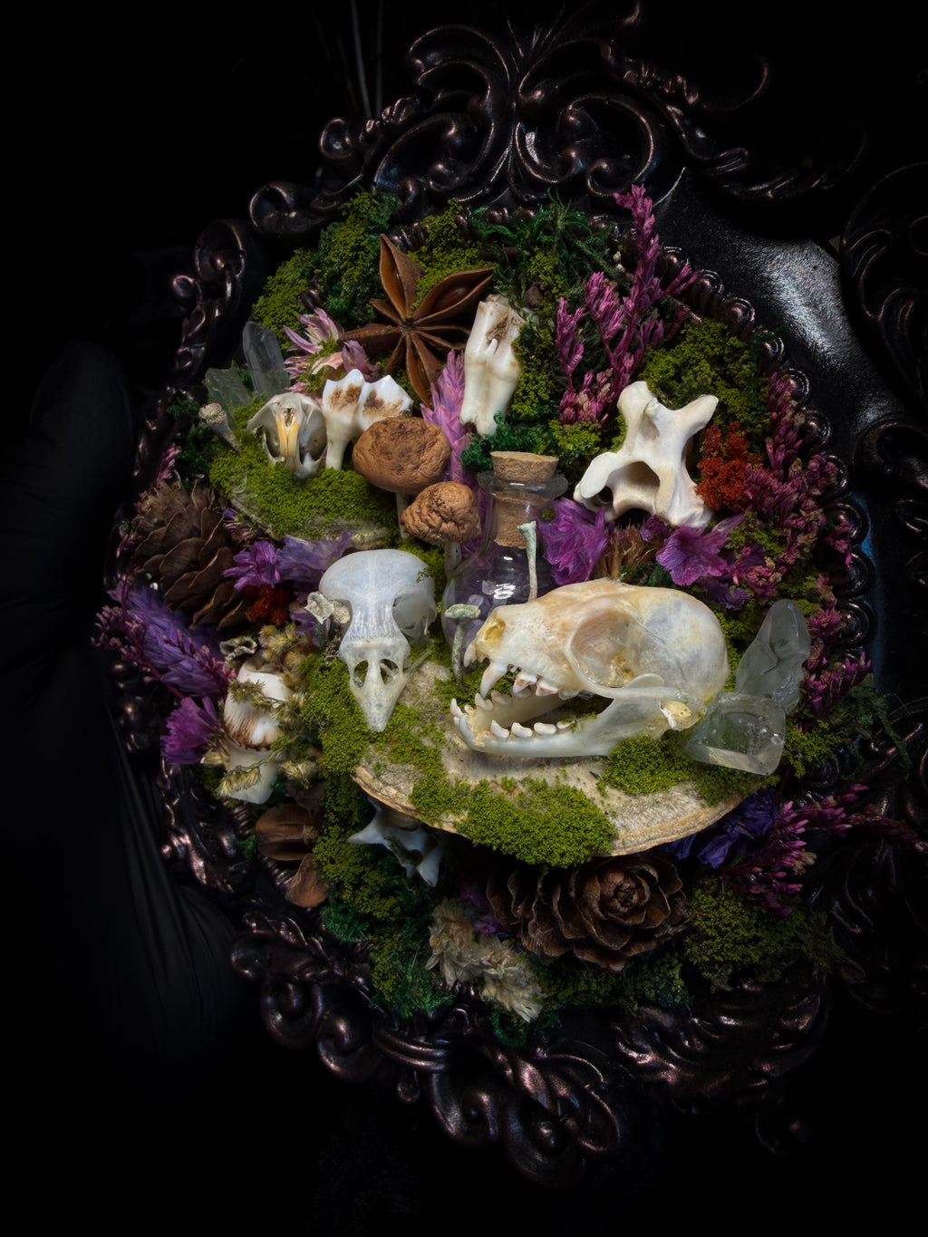 Anima Noctis | Whimsical — bat, mouse and bird skulls, deer and small mammal vertebrae, amethyst bottle, quartz crystals, mushrooms, moss and dried flowers in hand-cast metallic violet baroque frame, Morbid Oddities

