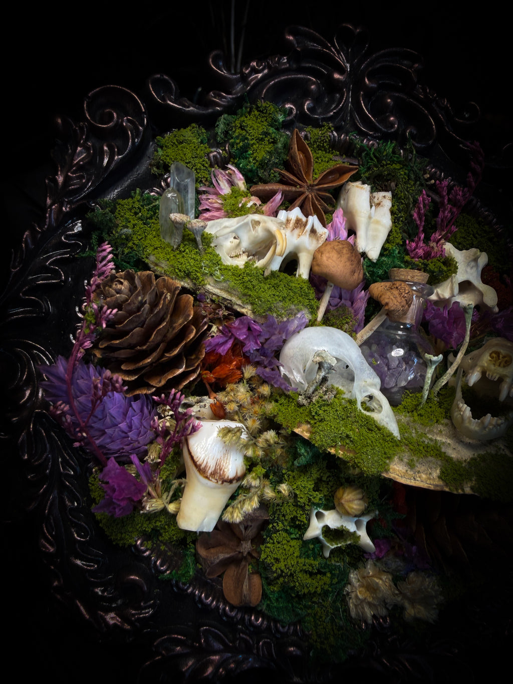 Anima Noctis | Whimsical — bat, mouse and bird skulls, deer and small mammal vertebrae, amethyst bottle, quartz crystals, mushrooms, moss and dried flowers in hand-cast metallic violet baroque frame, Morbid Oddities

