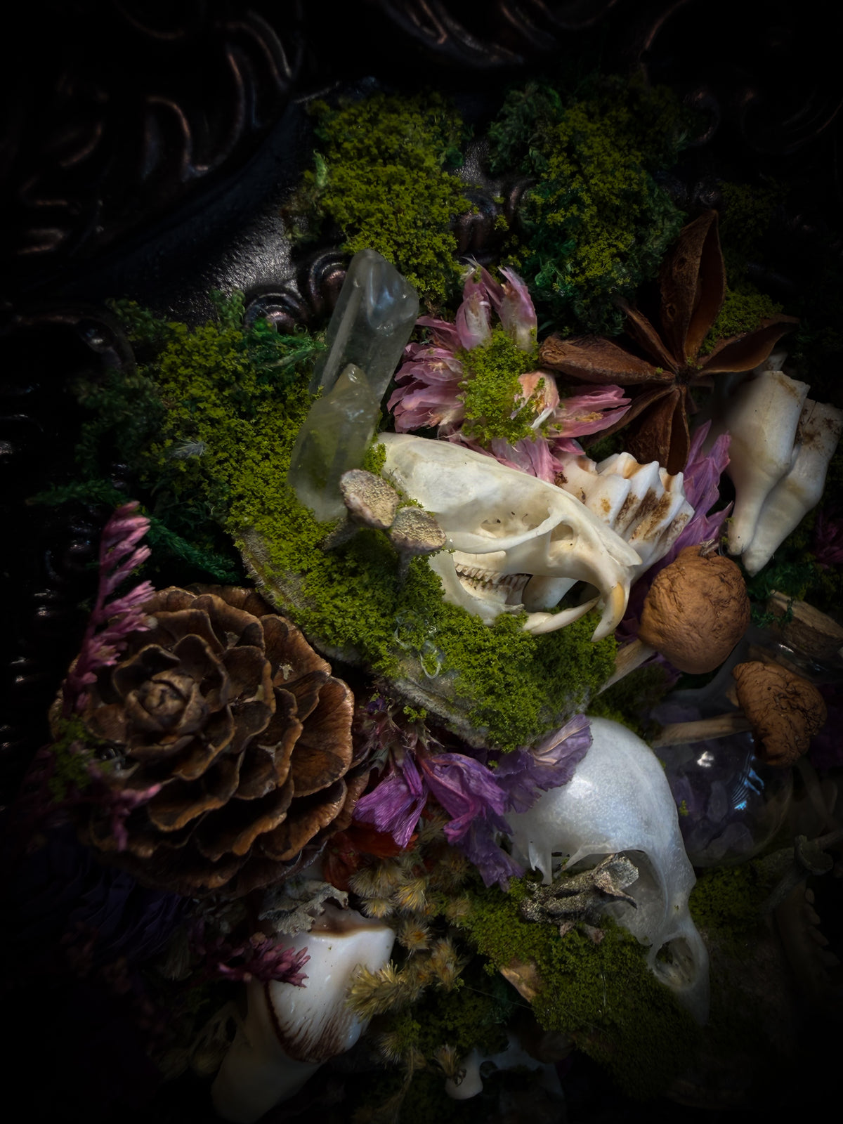 Anima Noctis | Whimsical — bat, mouse and bird skulls, deer and small mammal vertebrae, amethyst bottle, quartz crystals, mushrooms, moss and dried flowers in hand-cast metallic violet baroque frame, Morbid Oddities

