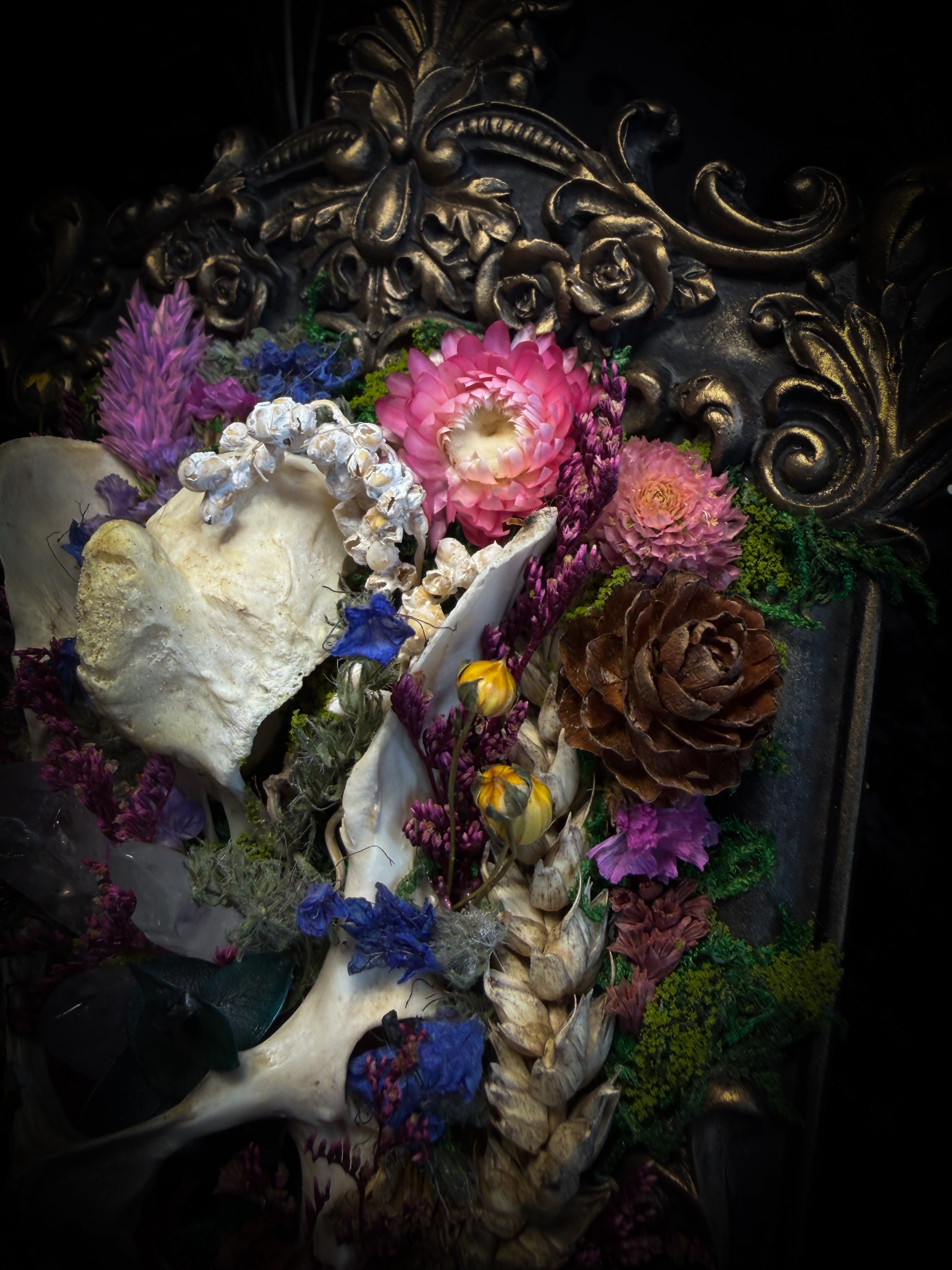 Flora Mortis | Whimsical Gothic Frame — Rabbit Pelvis & Dried