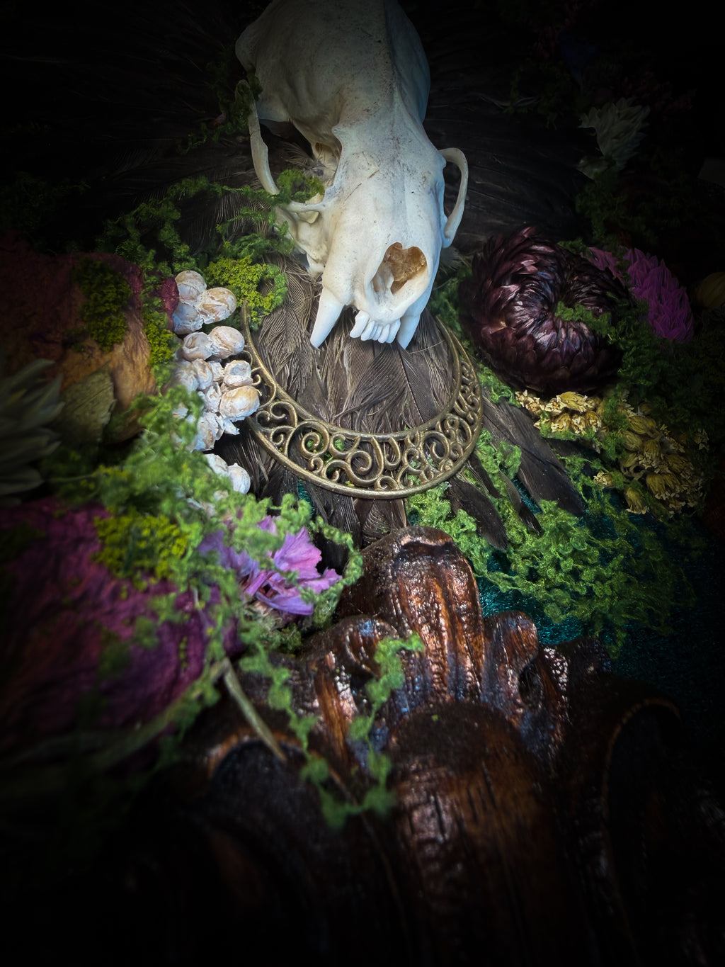 The Verdant Shrine | Whimsical — handmade gothic frame with mink skull, preserved bird wings, moss and dried flowers