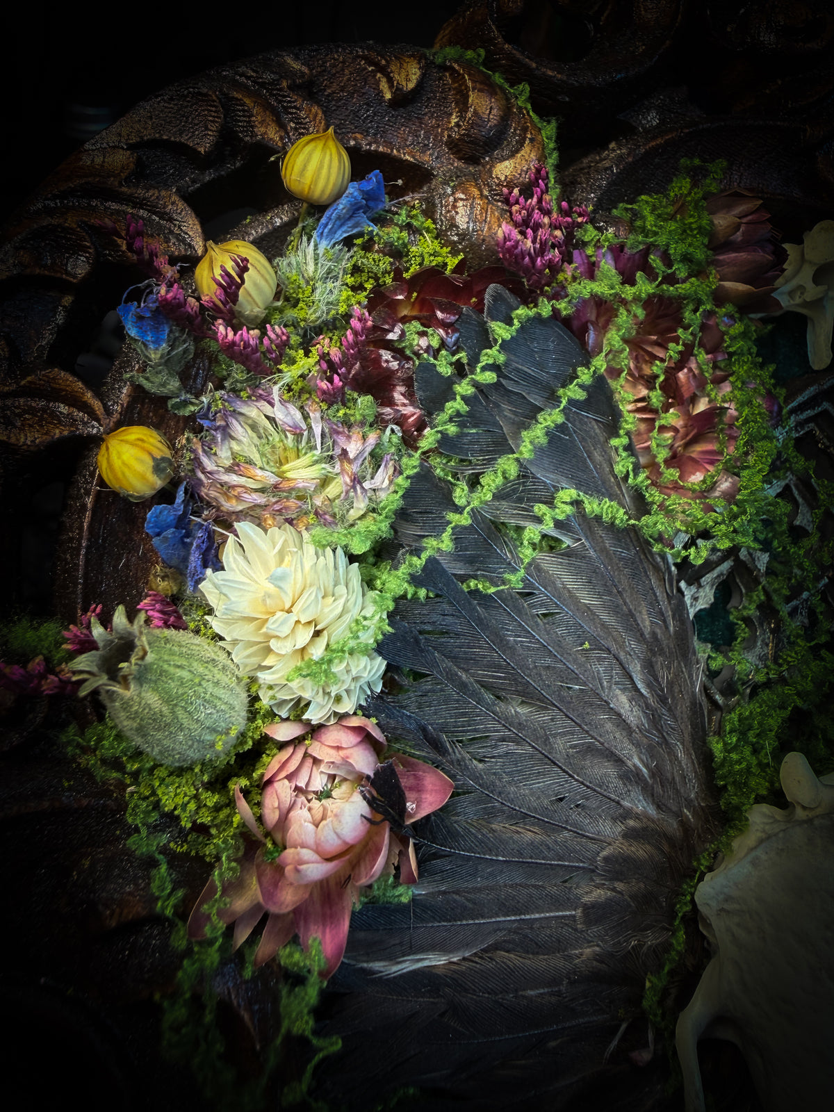 The Verdant Shrine | Whimsical — handmade gothic frame with mink skull, preserved bird wings, moss and dried flowers