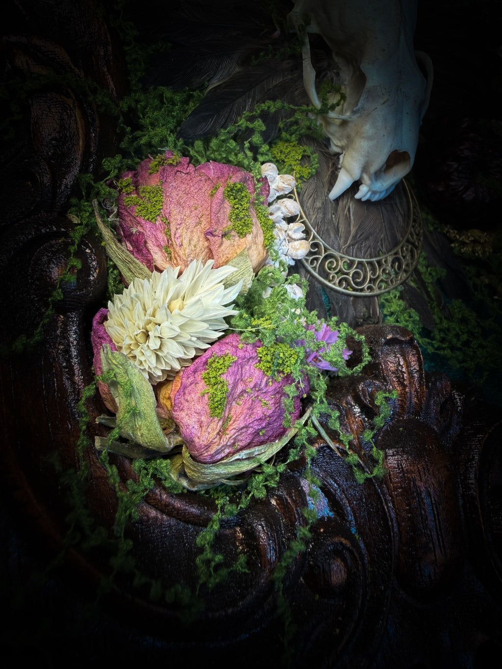 The Verdant Shrine | Whimsical — handmade gothic frame with mink skull, preserved bird wings, moss and dried flowers