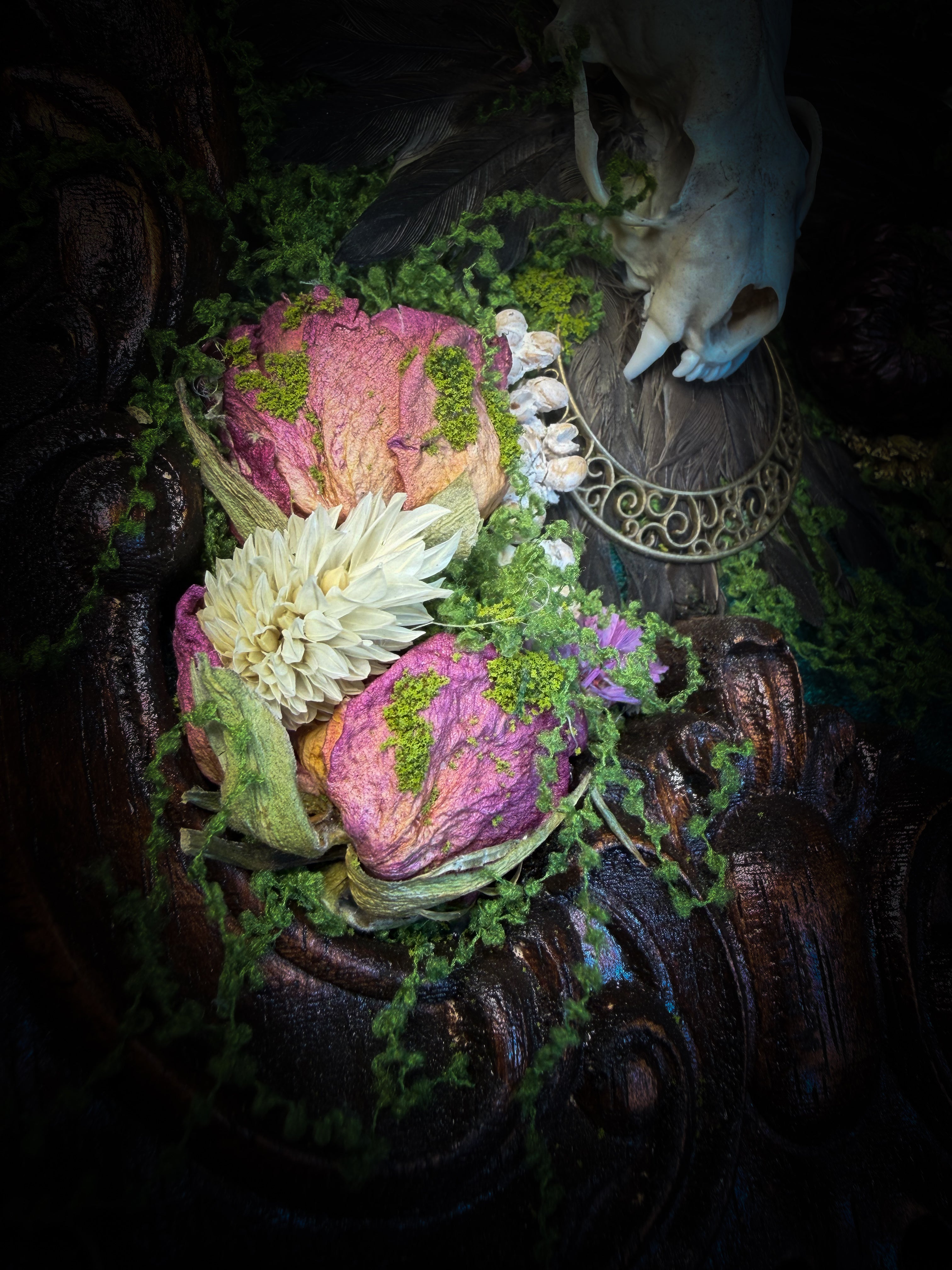 The Verdant Shrine | Whimsical — handmade gothic frame with mink skull, preserved bird wings, moss and dried flowers
