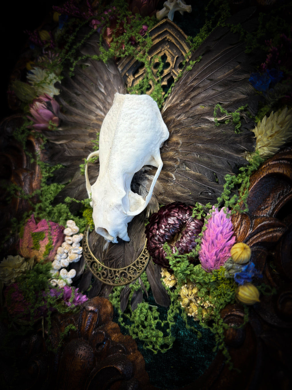 The Verdant Shrine | Whimsical — handmade gothic frame with mink skull, preserved bird wings, moss and dried flowers