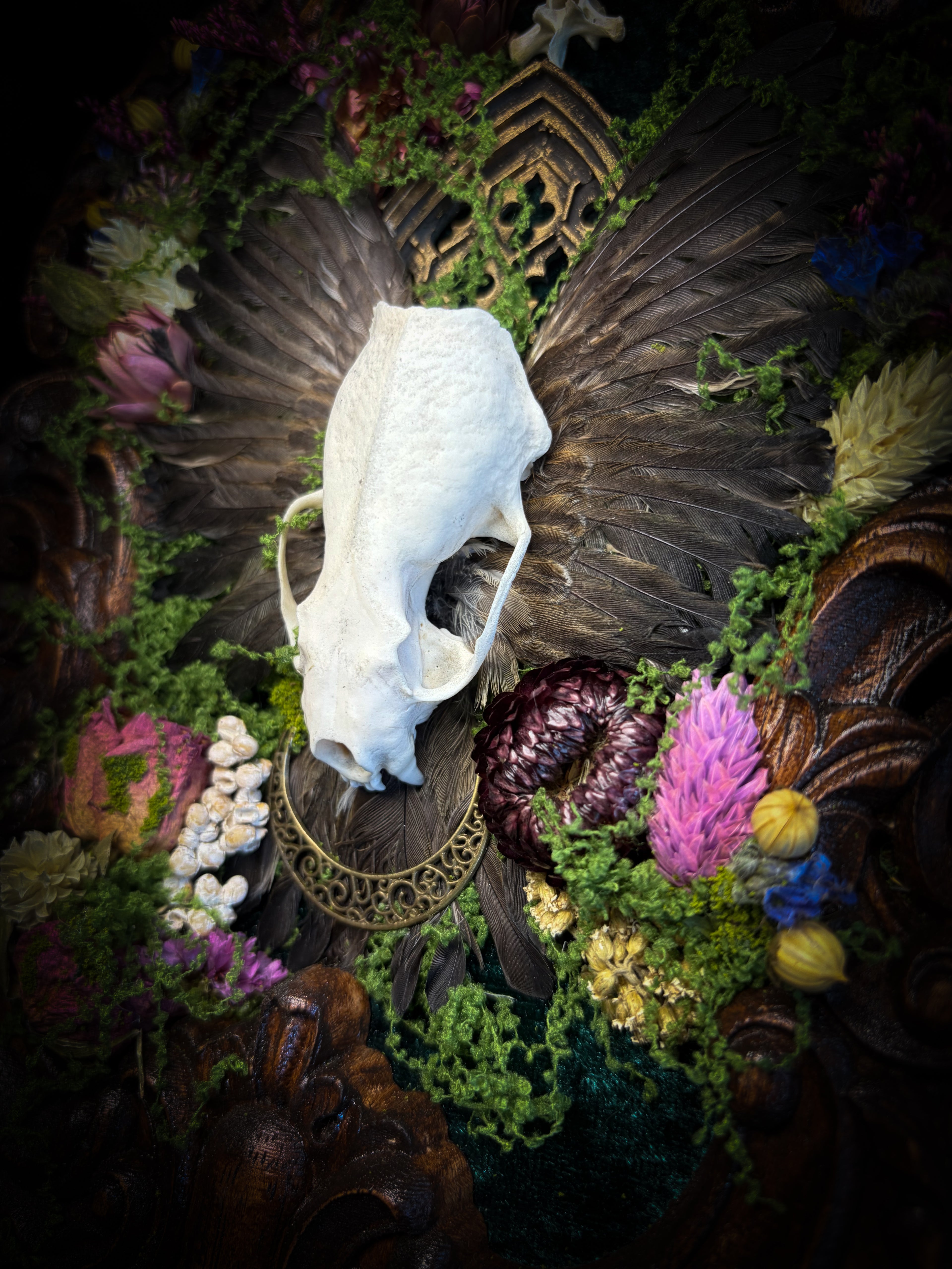 The Verdant Shrine | Whimsical — handmade gothic frame with mink skull, preserved bird wings, moss and dried flowers