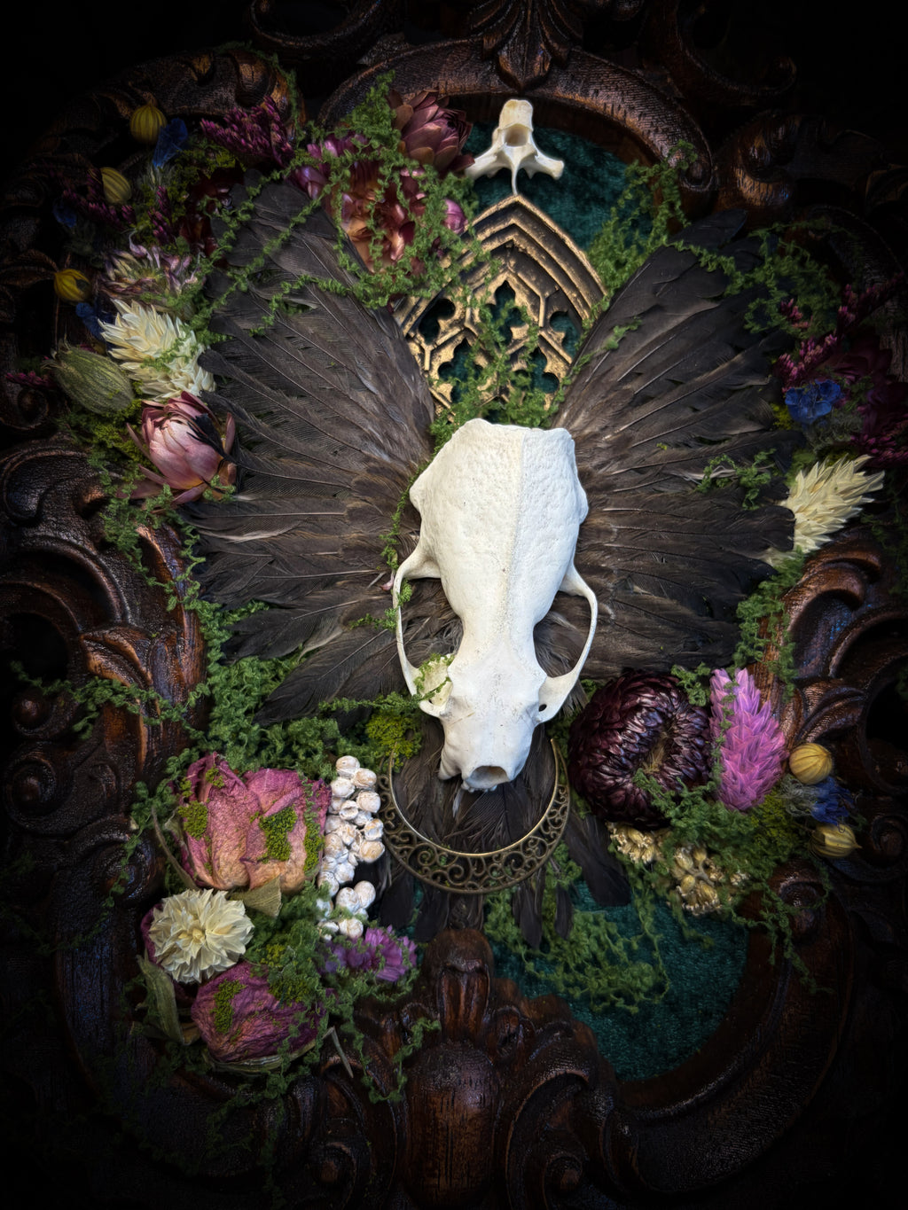 The Verdant Shrine | Whimsical — handmade gothic frame with mink skull, preserved bird wings, moss and dried flowers