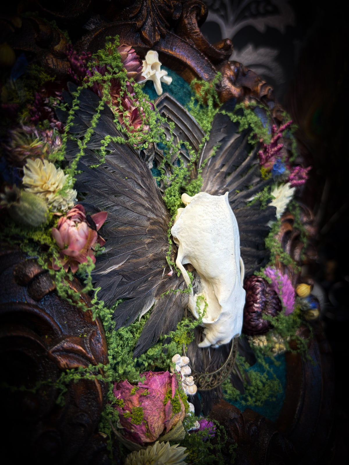 The Verdant Shrine | Whimsical — handmade gothic frame with mink skull, preserved bird wings, moss and dried flowers