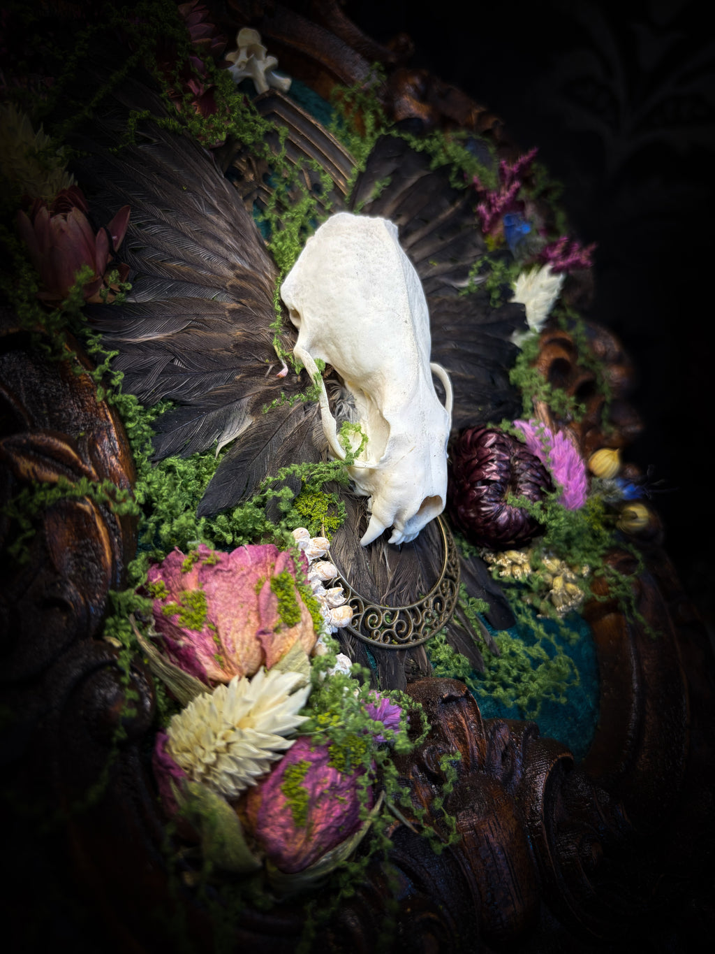 The Verdant Shrine | Whimsical — handmade gothic frame with mink skull, preserved bird wings, moss and dried flowers