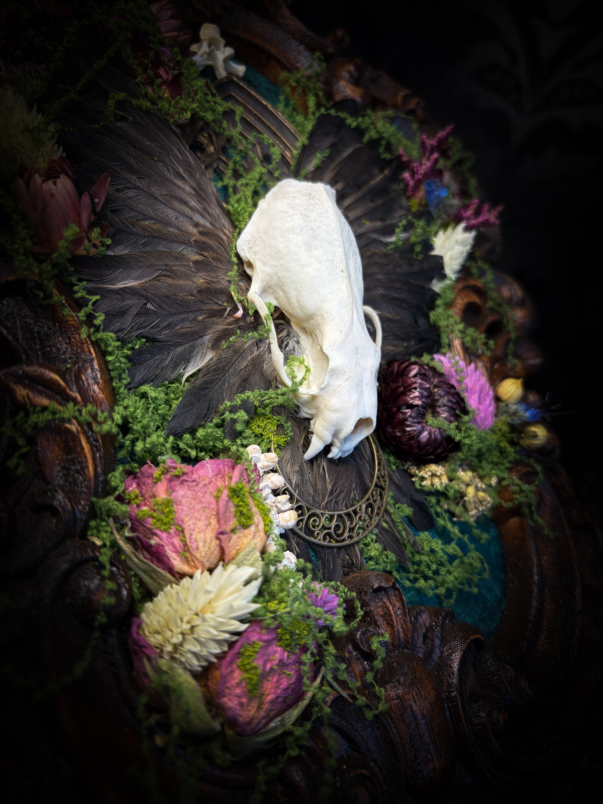 The Verdant Shrine | Whimsical — handmade gothic frame with mink skull, preserved bird wings, moss and dried flowers