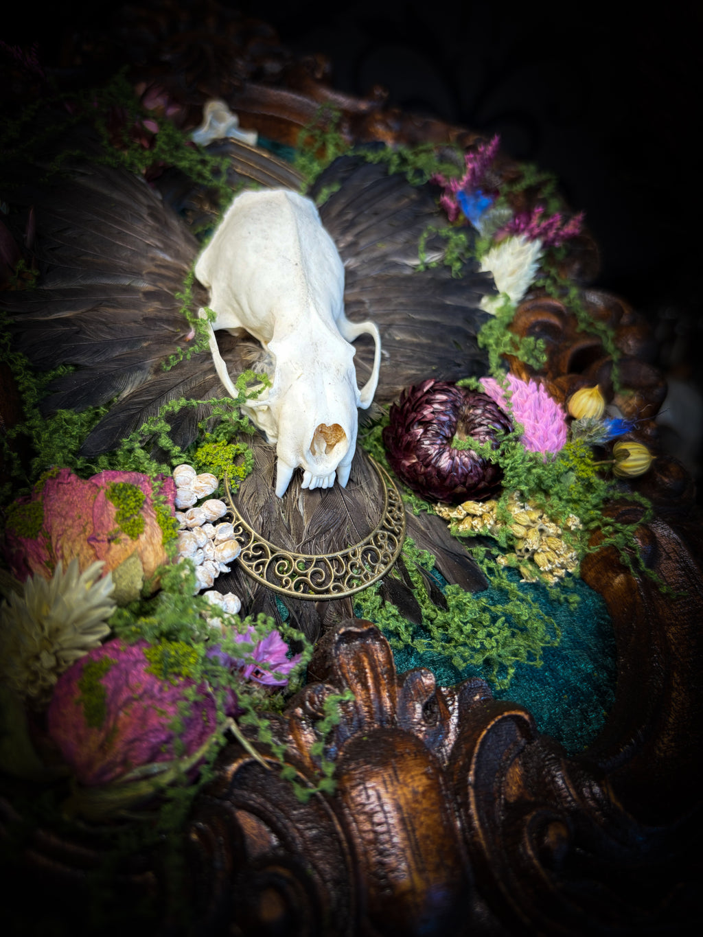 The Verdant Shrine | Whimsical — handmade gothic frame with mink skull, preserved bird wings, moss and dried flowers