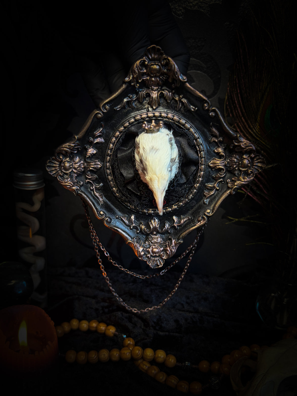 The Dapper Gentleman | Gothic — handmade gothic frame with mummified pigeon head, lace, chains and rose gold accents