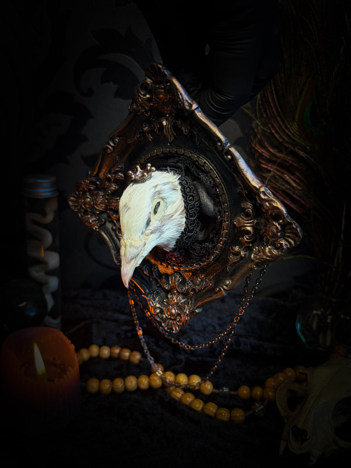The Dapper Gentleman | Gothic — handmade gothic frame with mummified pigeon head, lace, chains and rose gold accents