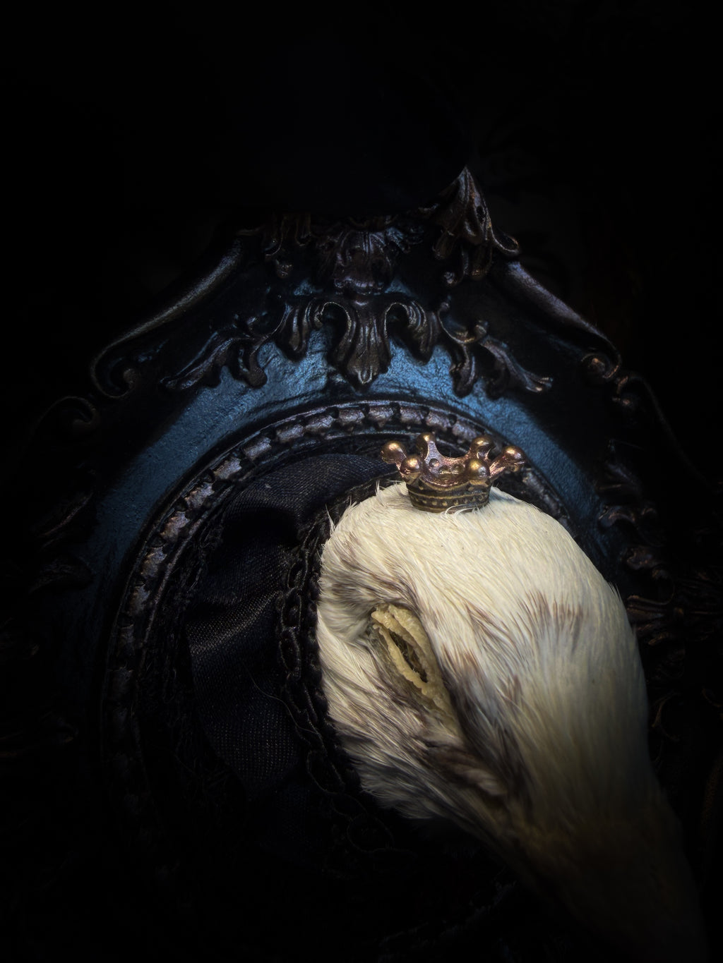 The Dapper Gentleman | Gothic — handmade gothic frame with mummified pigeon head, lace, chains and rose gold accents