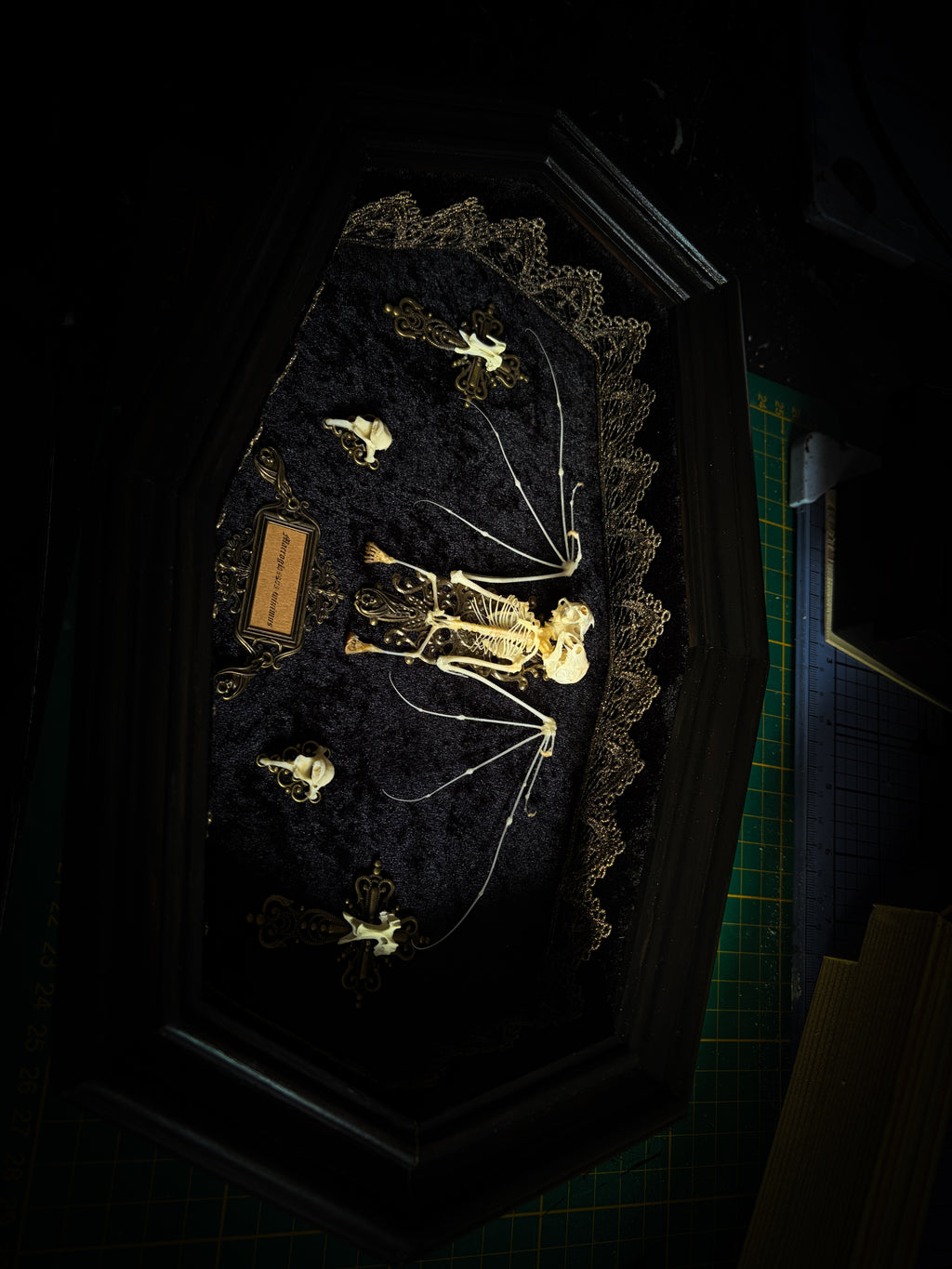 Vampiria — handmade gothic shadowbox, made to order. Two-headed bat skeleton on velvet background in wooden frame with ornate decorations, miniature bats and Latin species nameplate. Dark macabre wall decor, 28x23cm.