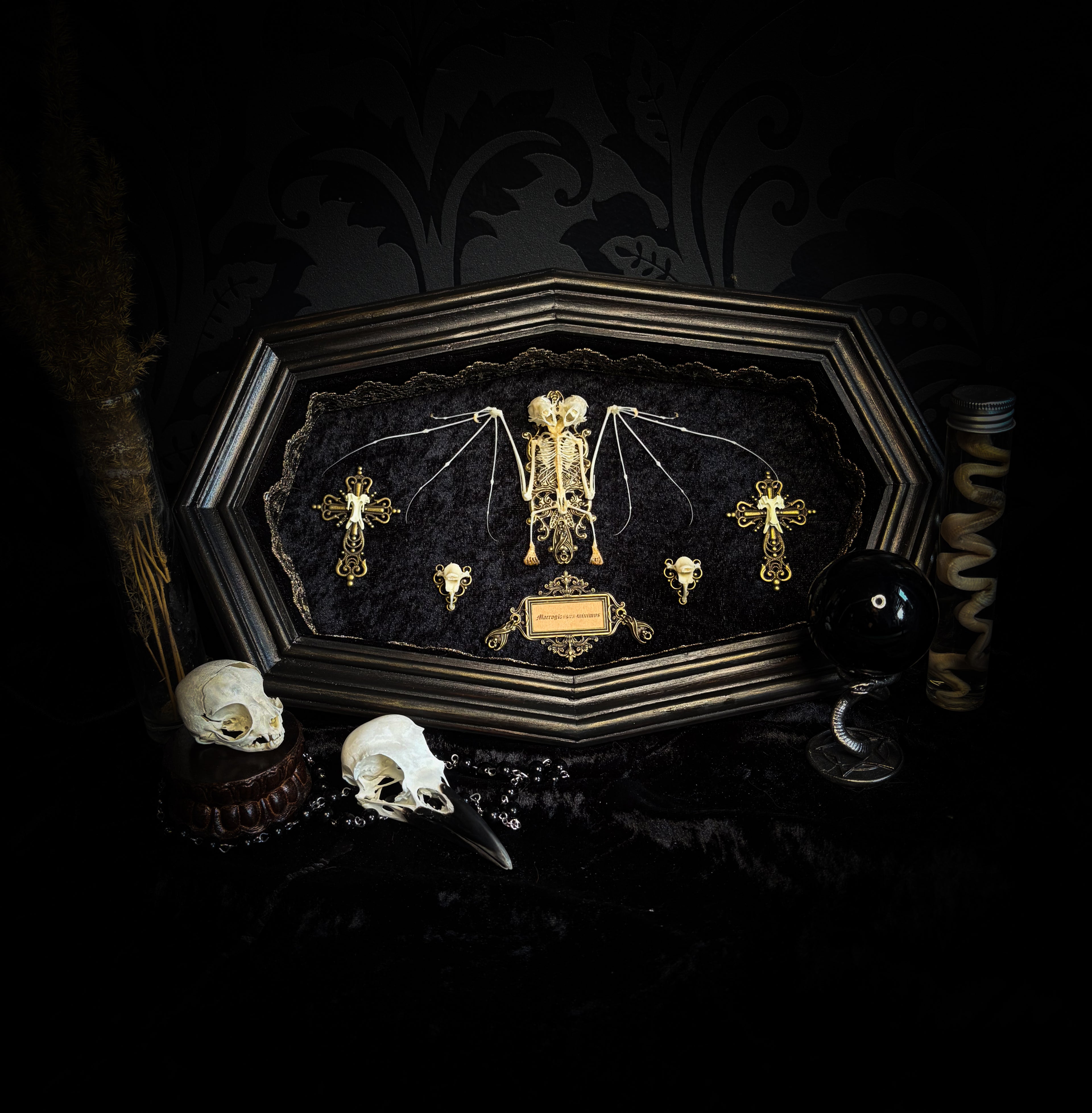 Vampiria — handmade gothic shadowbox, made to order. Two-headed bat skeleton on velvet background in wooden frame with ornate decorations, miniature bats and Latin species nameplate. Dark macabre wall decor, 28x23cm.