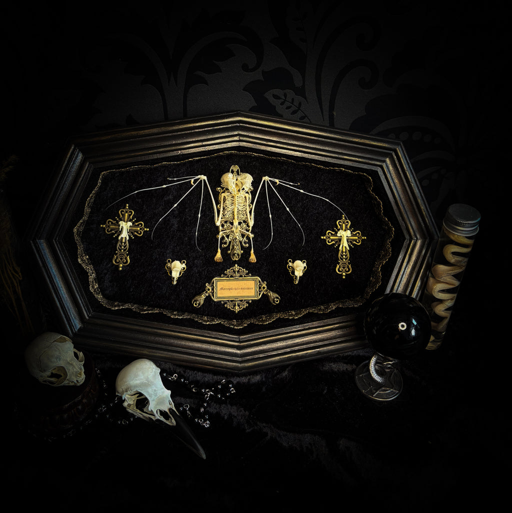 Vampiria — handmade gothic shadowbox, made to order. Two-headed bat skeleton on velvet background in wooden frame with ornate decorations, miniature bats and Latin species nameplate. Dark macabre wall decor, 28x23cm.