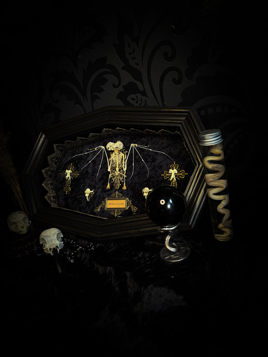 Vampiria — handmade gothic shadowbox, made to order. Two-headed bat skeleton on velvet background in wooden frame with ornate decorations, miniature bats and Latin species nameplate. Dark macabre wall decor, 28x23cm.