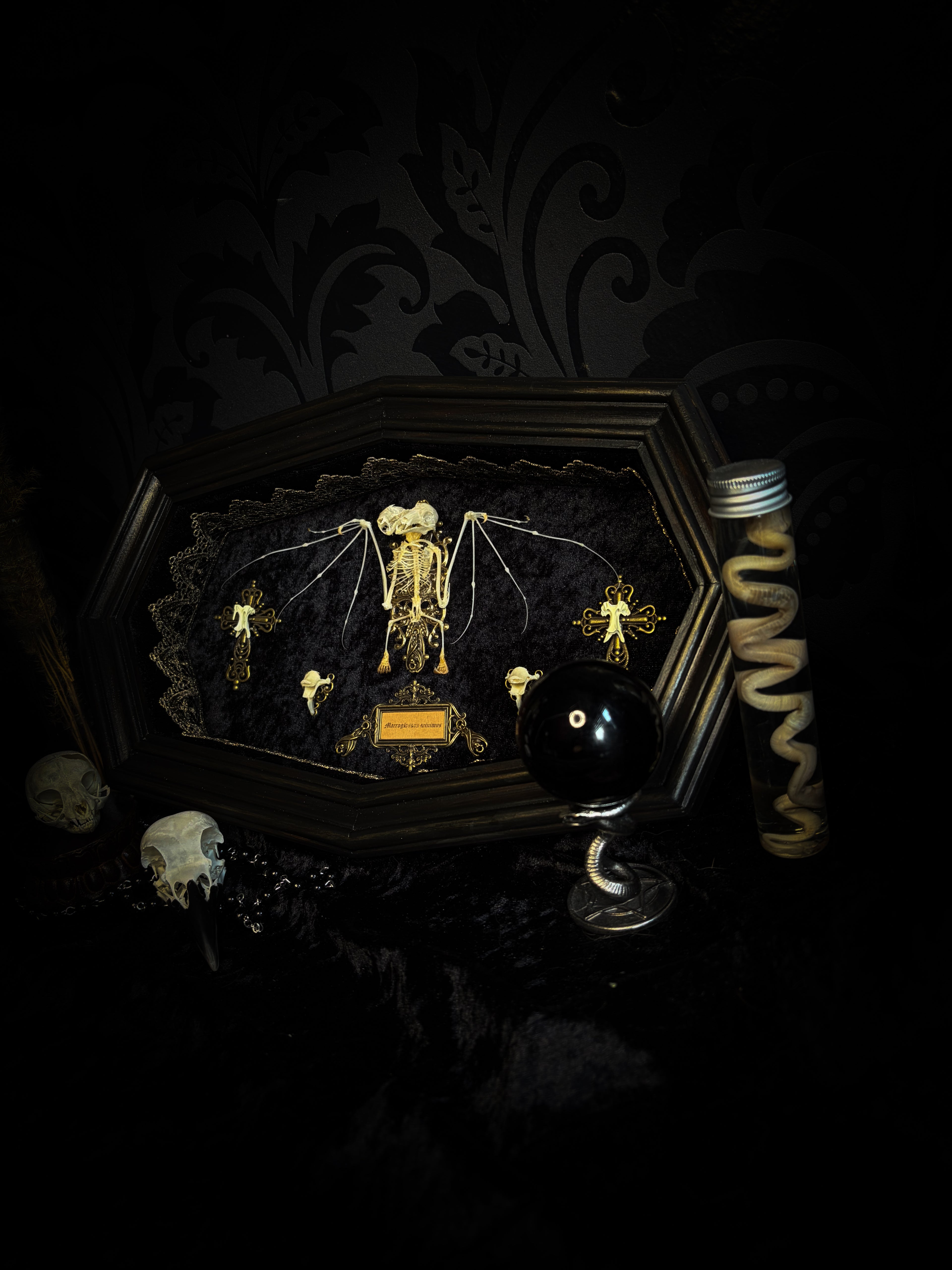 Vampiria — handmade gothic shadowbox, made to order. Two-headed bat skeleton on velvet background in wooden frame with ornate decorations, miniature bats and Latin species nameplate. Dark macabre wall decor, 28x23cm.