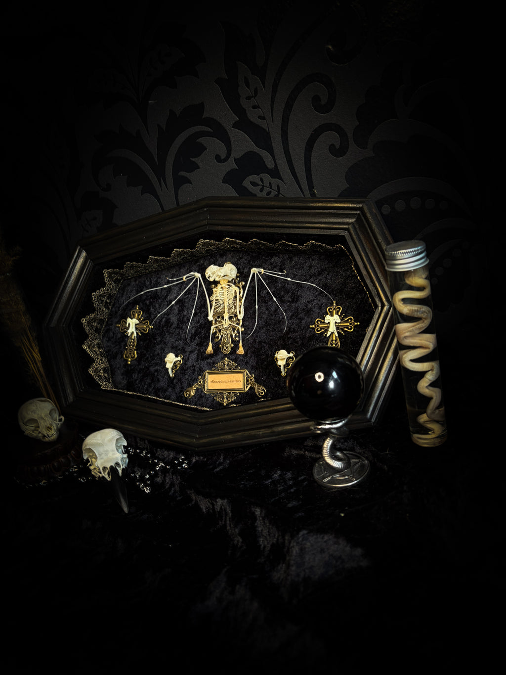 Vampiria — handmade gothic shadowbox, made to order. Two-headed bat skeleton on velvet background in wooden frame with ornate decorations, miniature bats and Latin species nameplate. Dark macabre wall decor, 28x23cm.