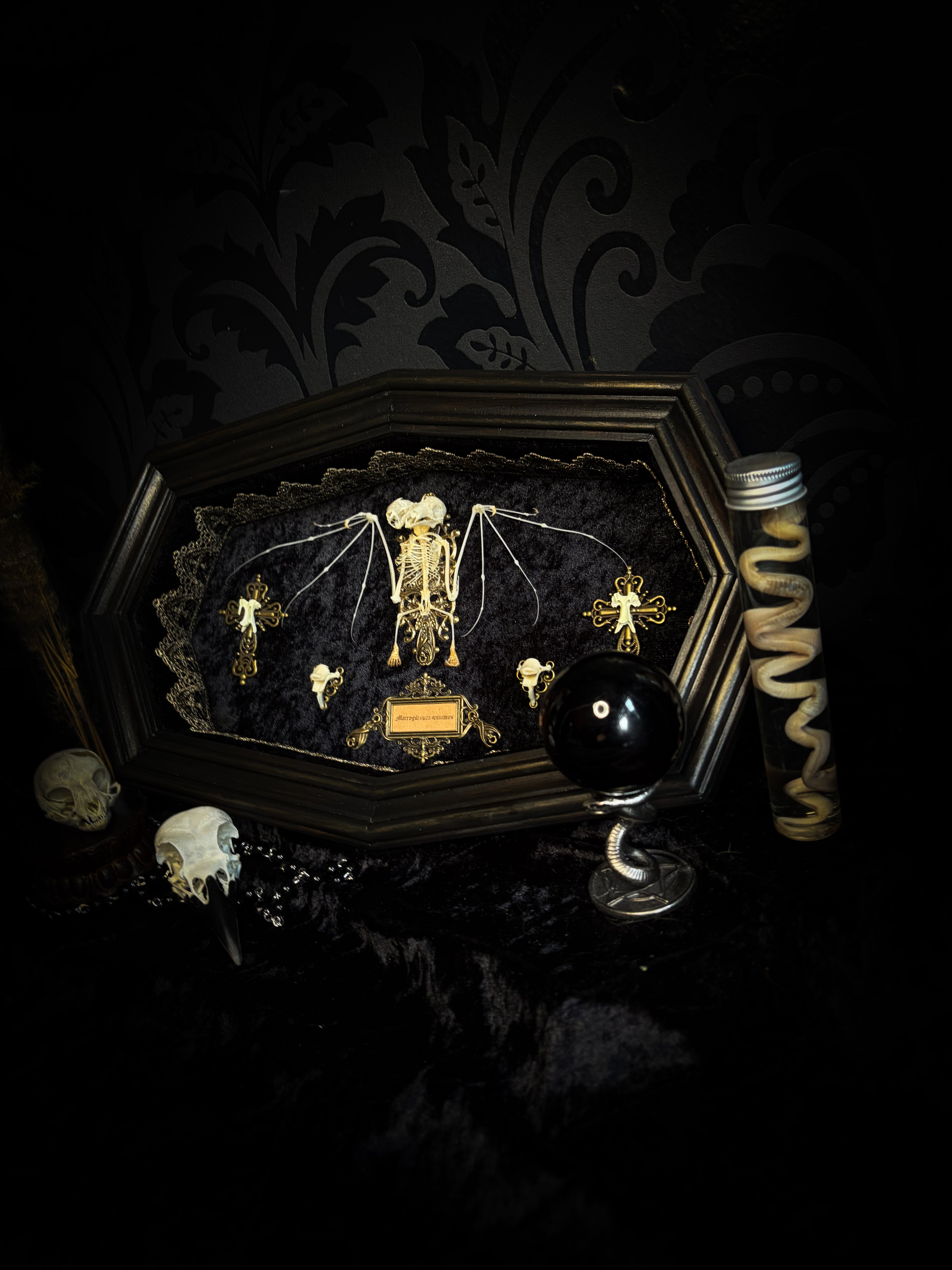 Vampiria — handmade gothic shadowbox, made to order. Two-headed bat skeleton on velvet background in wooden frame with ornate decorations, miniature bats and Latin species nameplate. Dark macabre wall decor, 28x23cm.