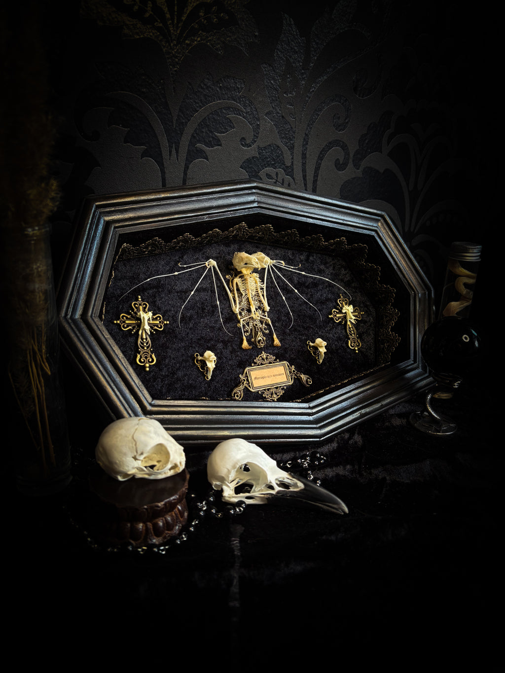 Vampiria — handmade gothic shadowbox, made to order. Two-headed bat skeleton on velvet background in wooden frame with ornate decorations, miniature bats and Latin species nameplate. Dark macabre wall decor, 28x23cm.