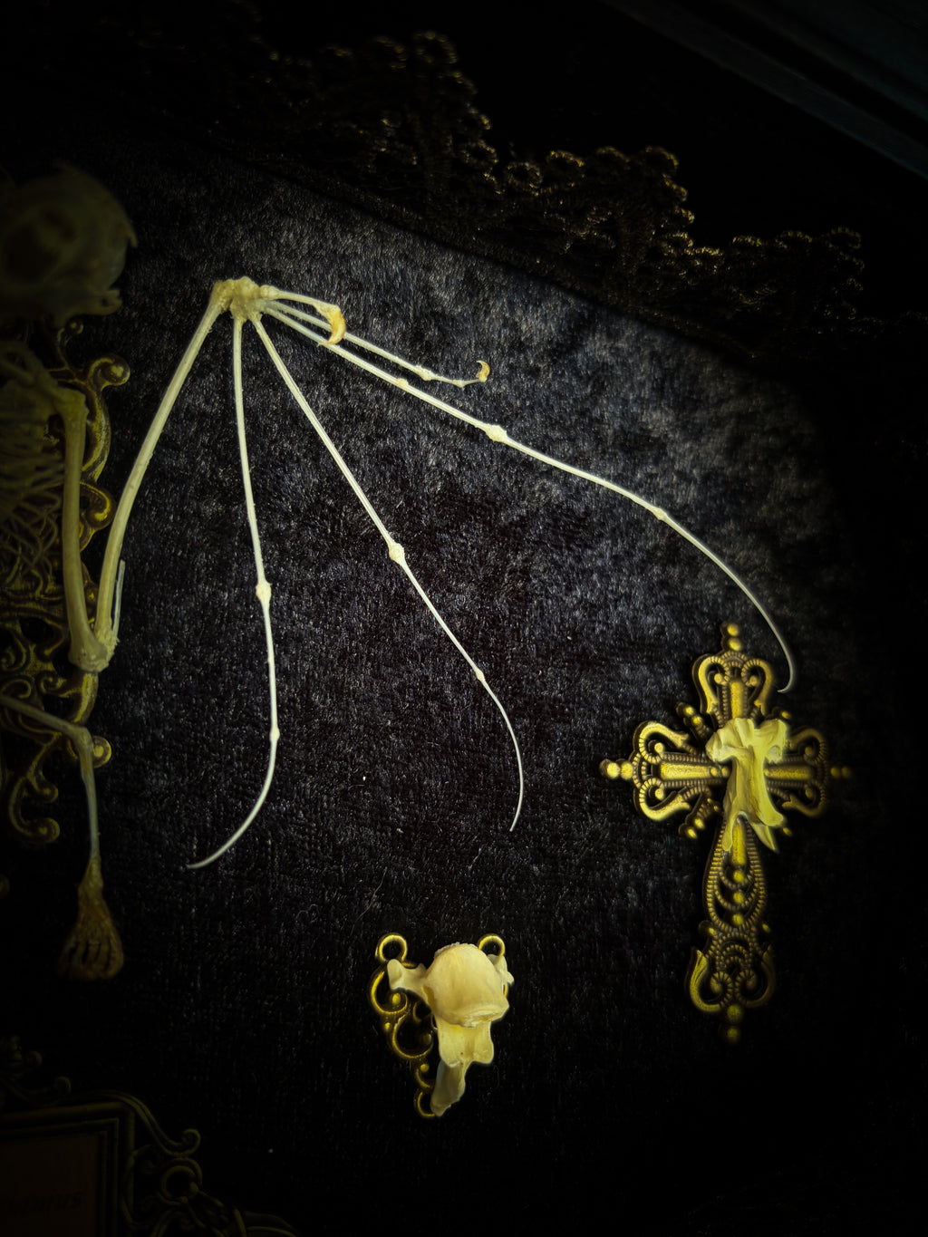 Vampiria — handmade gothic shadowbox, made to order. Two-headed bat skeleton on velvet background in wooden frame with ornate decorations, miniature bats and Latin species nameplate. Dark macabre wall decor, 28x23cm.