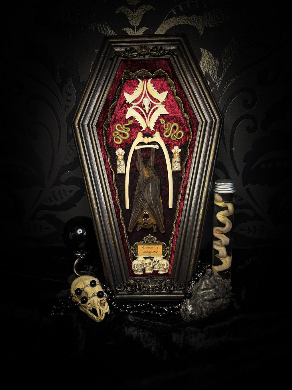 Bat Wooden Coffins — handmade gothic coffin shadowbox, made to order. Handbuilt wooden coffin frame with bat specimen, velvet background, ornate decorations and ritual details. Dark gothic wall and altar decor, made from scratch.