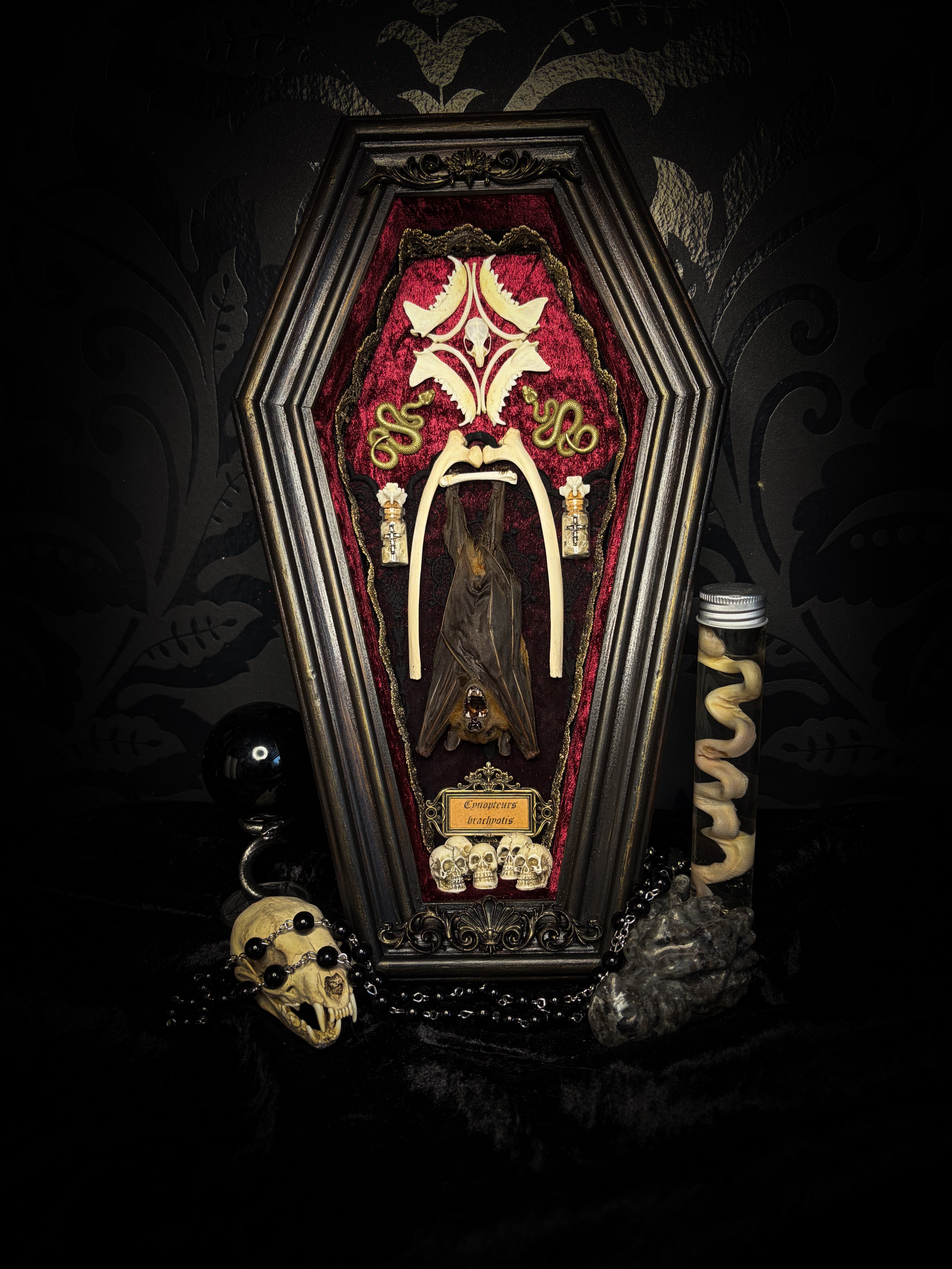 Bat Wooden Coffins — handmade gothic coffin shadowbox, made to order. Handbuilt wooden coffin frame with bat specimen, velvet background, ornate decorations and ritual details. Dark gothic wall and altar decor, made from scratch.