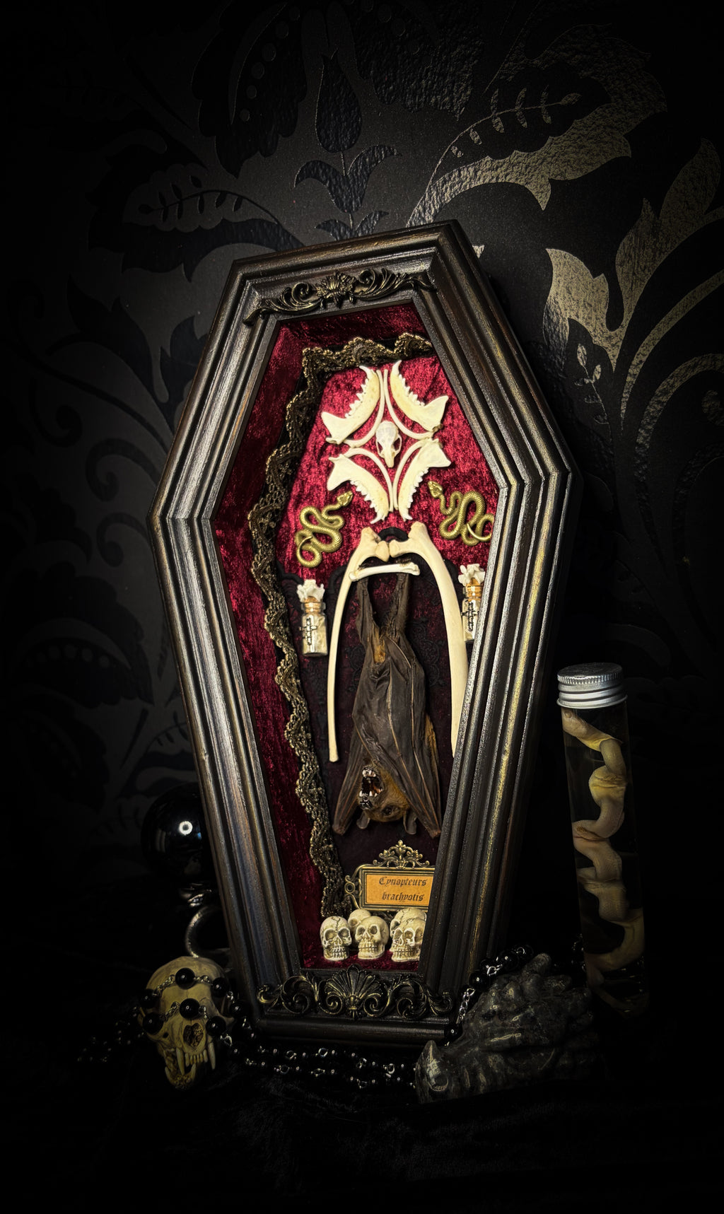 Bat Wooden Coffins — handmade gothic coffin shadowbox, made to order. Handbuilt wooden coffin frame with bat specimen, velvet background, ornate decorations and ritual details. Dark gothic wall and altar decor, made from scratch.