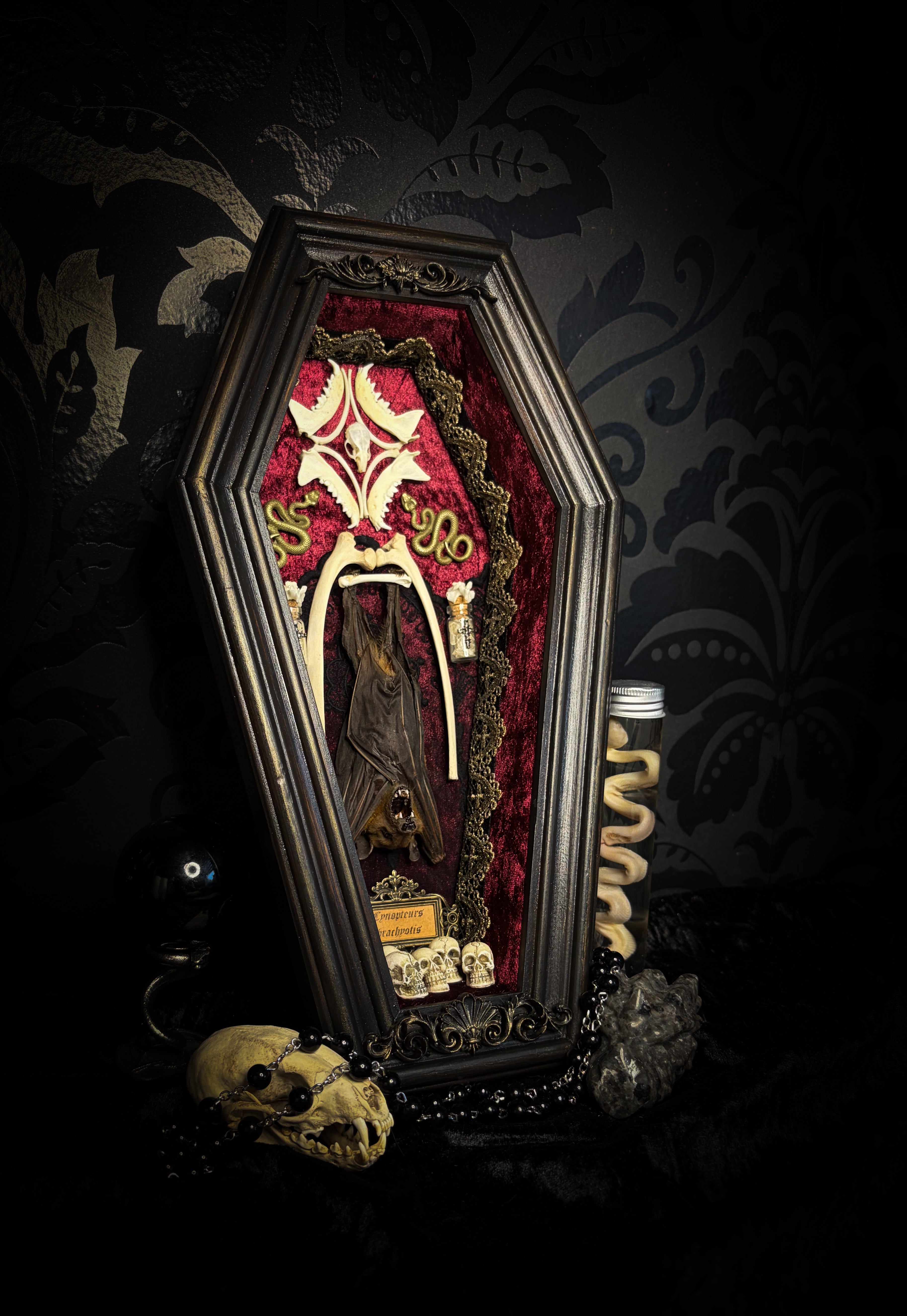 Bat Wooden Coffins — handmade gothic coffin shadowbox, made to order. Handbuilt wooden coffin frame with bat specimen, velvet background, ornate decorations and ritual details. Dark gothic wall and altar decor, made from scratch.
