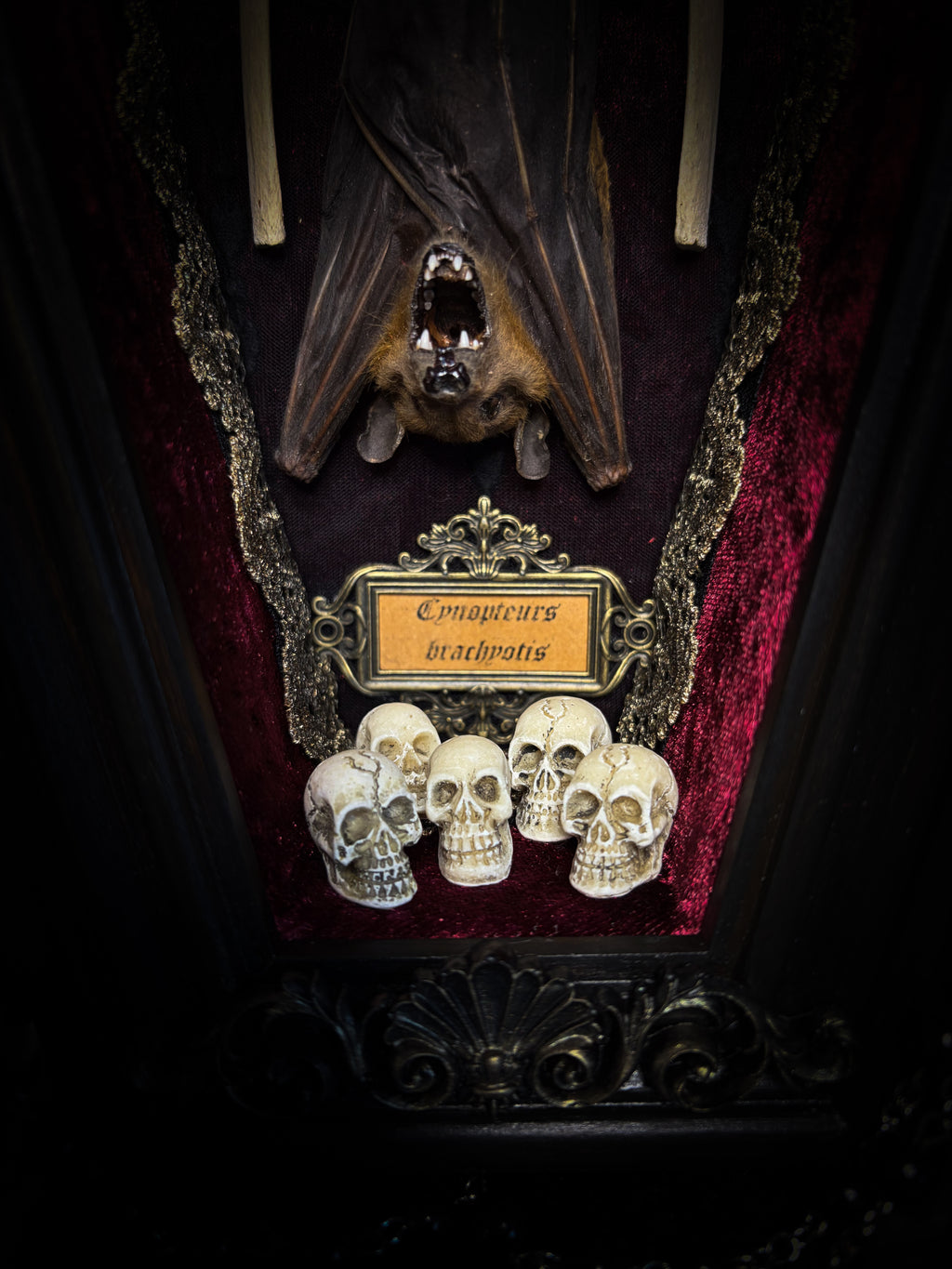 Bat Wooden Coffins — handmade gothic coffin shadowbox, made to order. Handbuilt wooden coffin frame with bat specimen, velvet background, ornate decorations and ritual details. Dark gothic wall and altar decor, made from scratch.