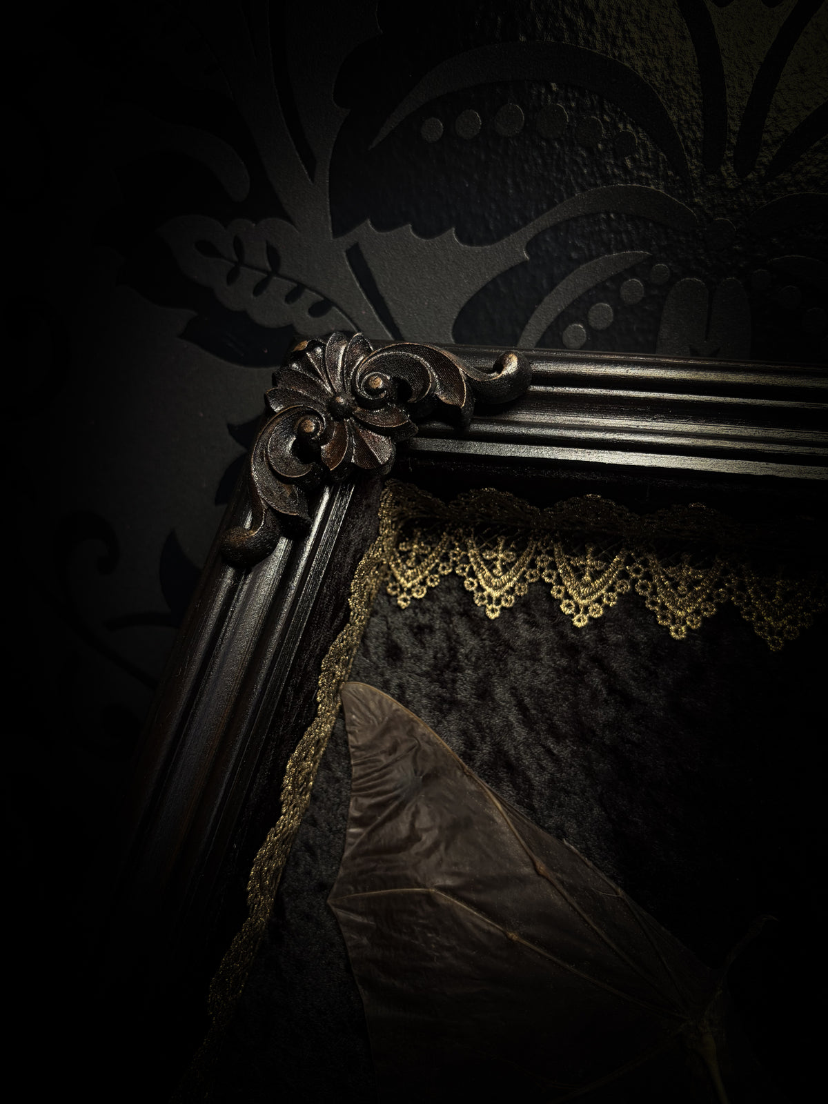 Moonlit Bat | Shadowbox — massive handmade black wooden shadowbox with a half-mummified, half-skeletal bat, three quartz moons, black velvet and gold lace.