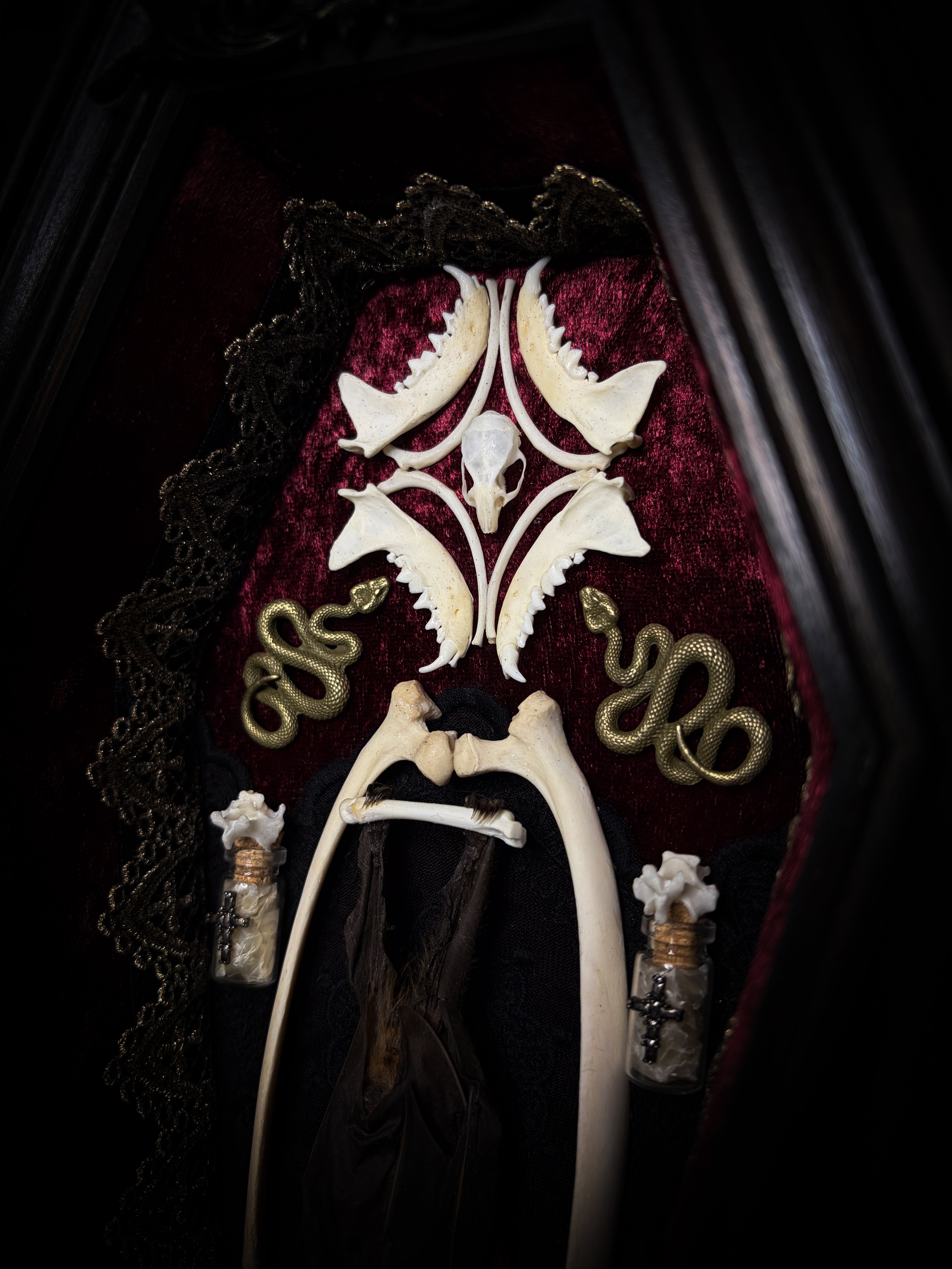 Bat Wooden Coffins — handmade gothic coffin shadowbox, made to order. Handbuilt wooden coffin frame with bat specimen, velvet background, ornate decorations and ritual details. Dark gothic wall and altar decor, made from scratch.