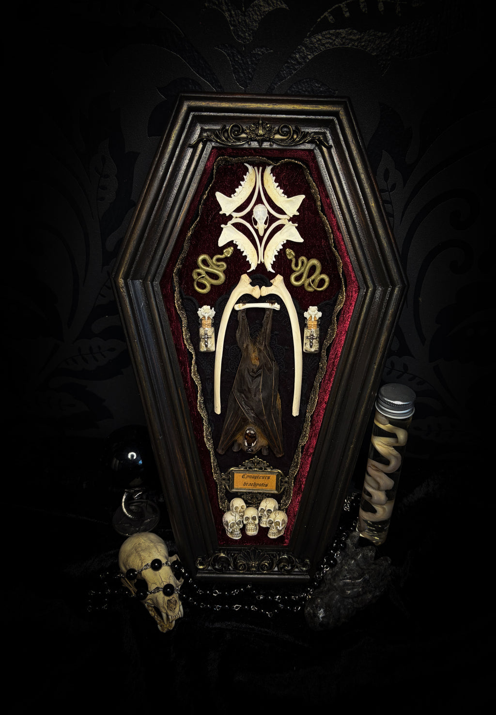 Bat Wooden Coffins — handmade gothic coffin shadowbox, made to order. Handbuilt wooden coffin frame with bat specimen, velvet background, ornate decorations and ritual details. Dark gothic wall and altar decor, made from scratch.