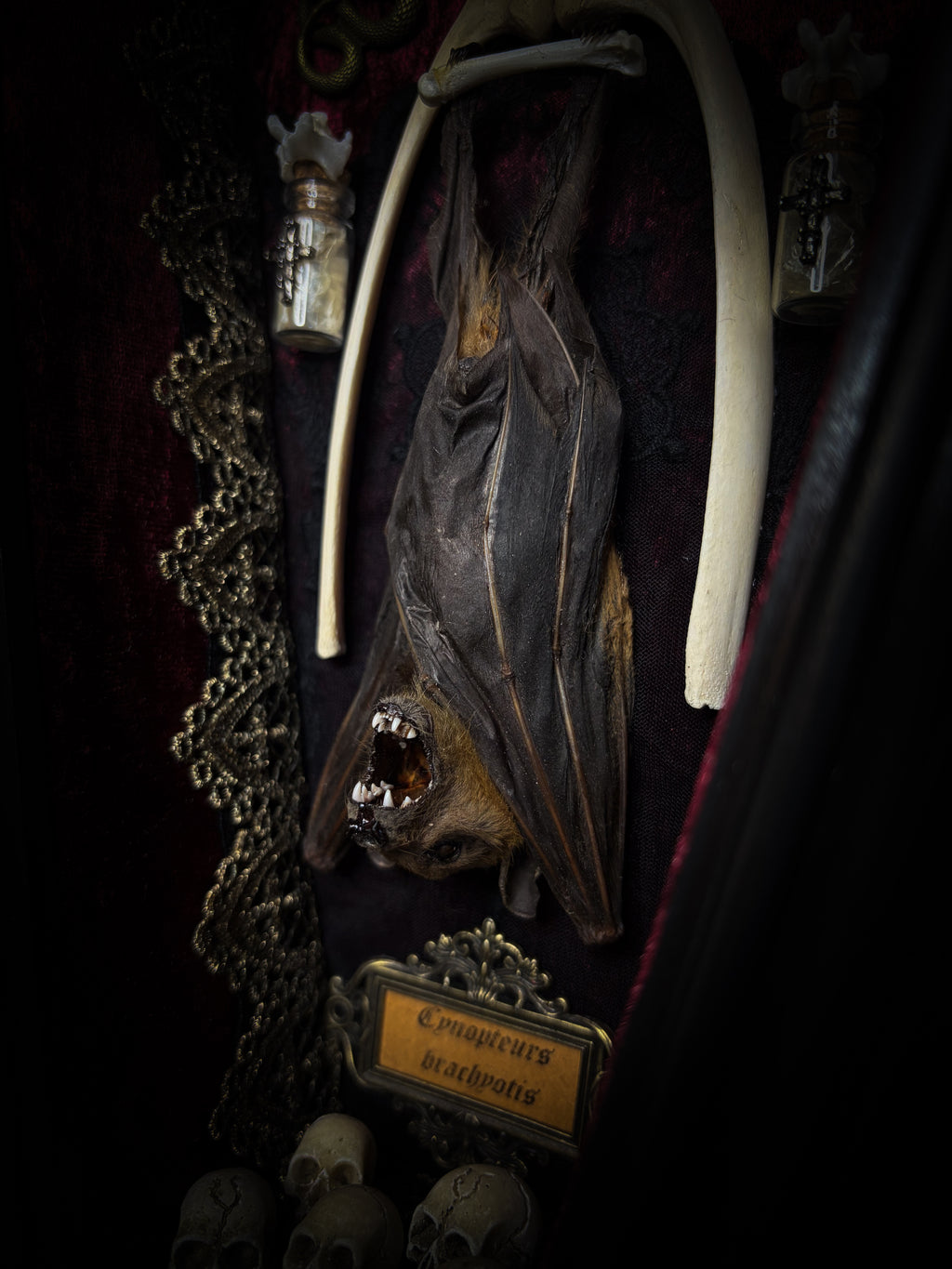 Bat Wooden Coffins — handmade gothic coffin shadowbox, made to order. Handbuilt wooden coffin frame with bat specimen, velvet background, ornate decorations and ritual details. Dark gothic wall and altar decor, made from scratch.