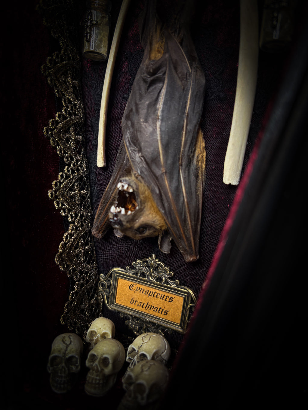 Bat Wooden Coffins — handmade gothic coffin shadowbox, made to order. Handbuilt wooden coffin frame with bat specimen, velvet background, ornate decorations and ritual details. Dark gothic wall and altar decor, made from scratch.
