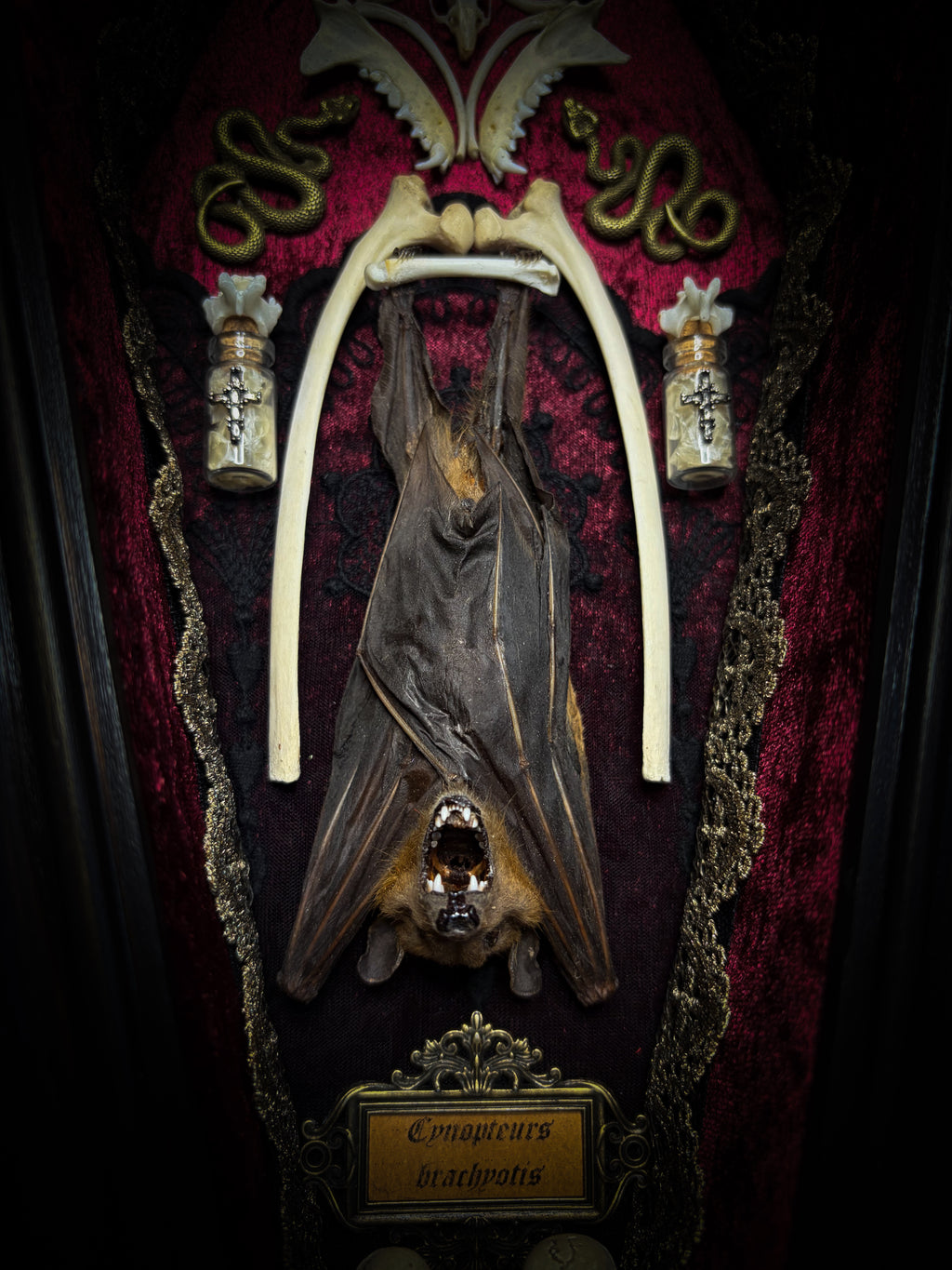 Bat Wooden Coffins — handmade gothic coffin shadowbox, made to order. Handbuilt wooden coffin frame with bat specimen, velvet background, ornate decorations and ritual details. Dark gothic wall and altar decor, made from scratch.